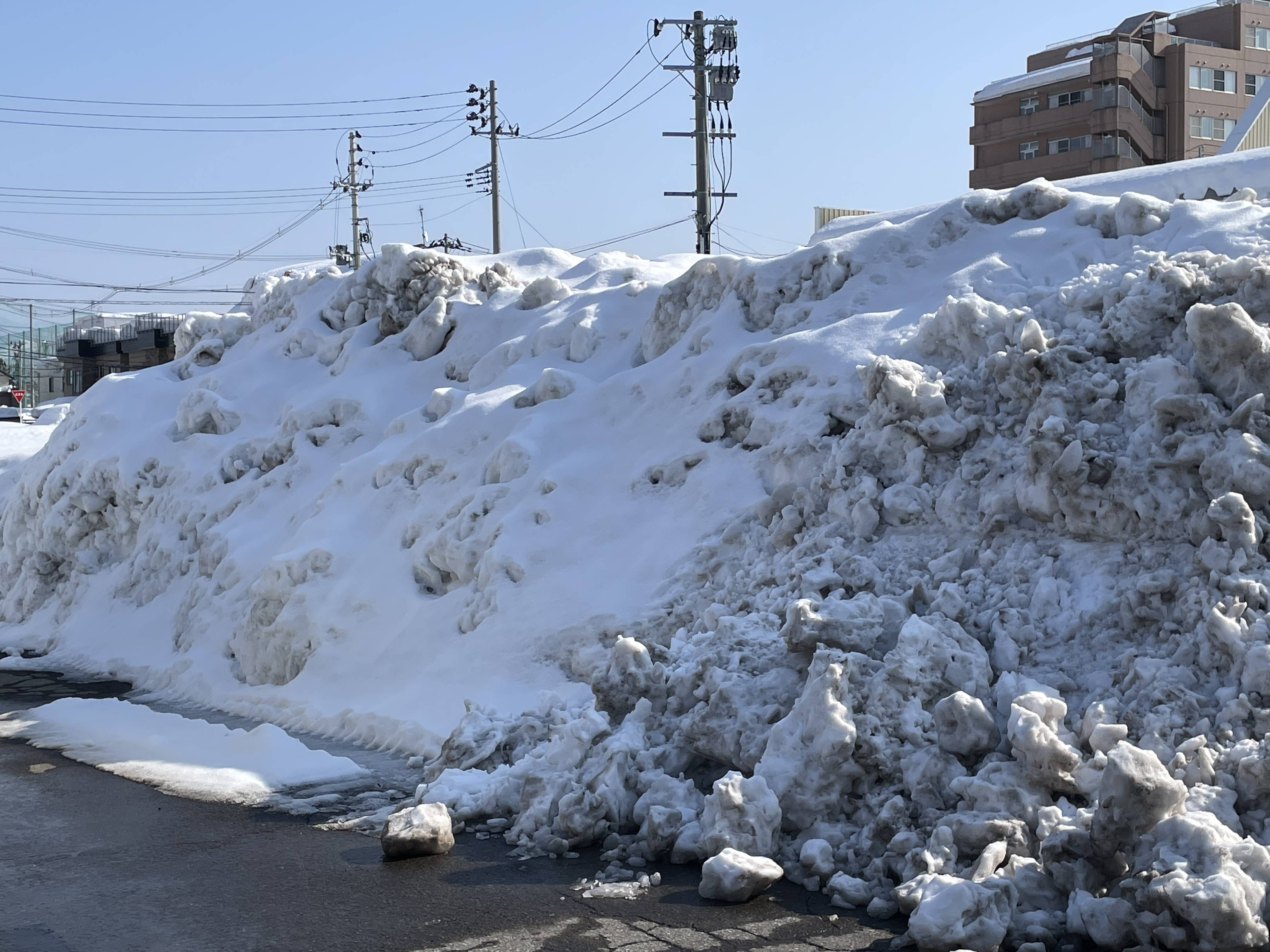 雪にも負けず営業中！！