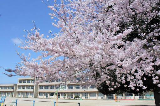 入学式シーズンですね！！
