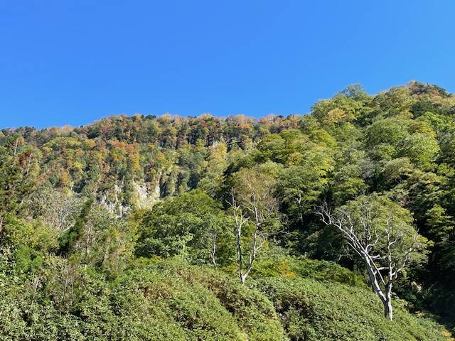 秋を感じに称名滝に行ってきました！01