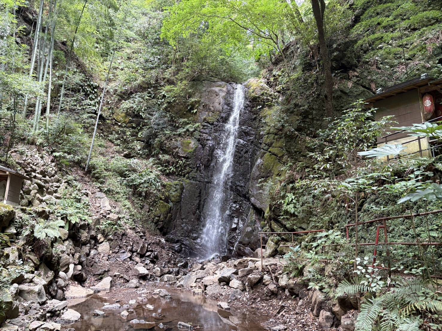 滝を見に行きました！