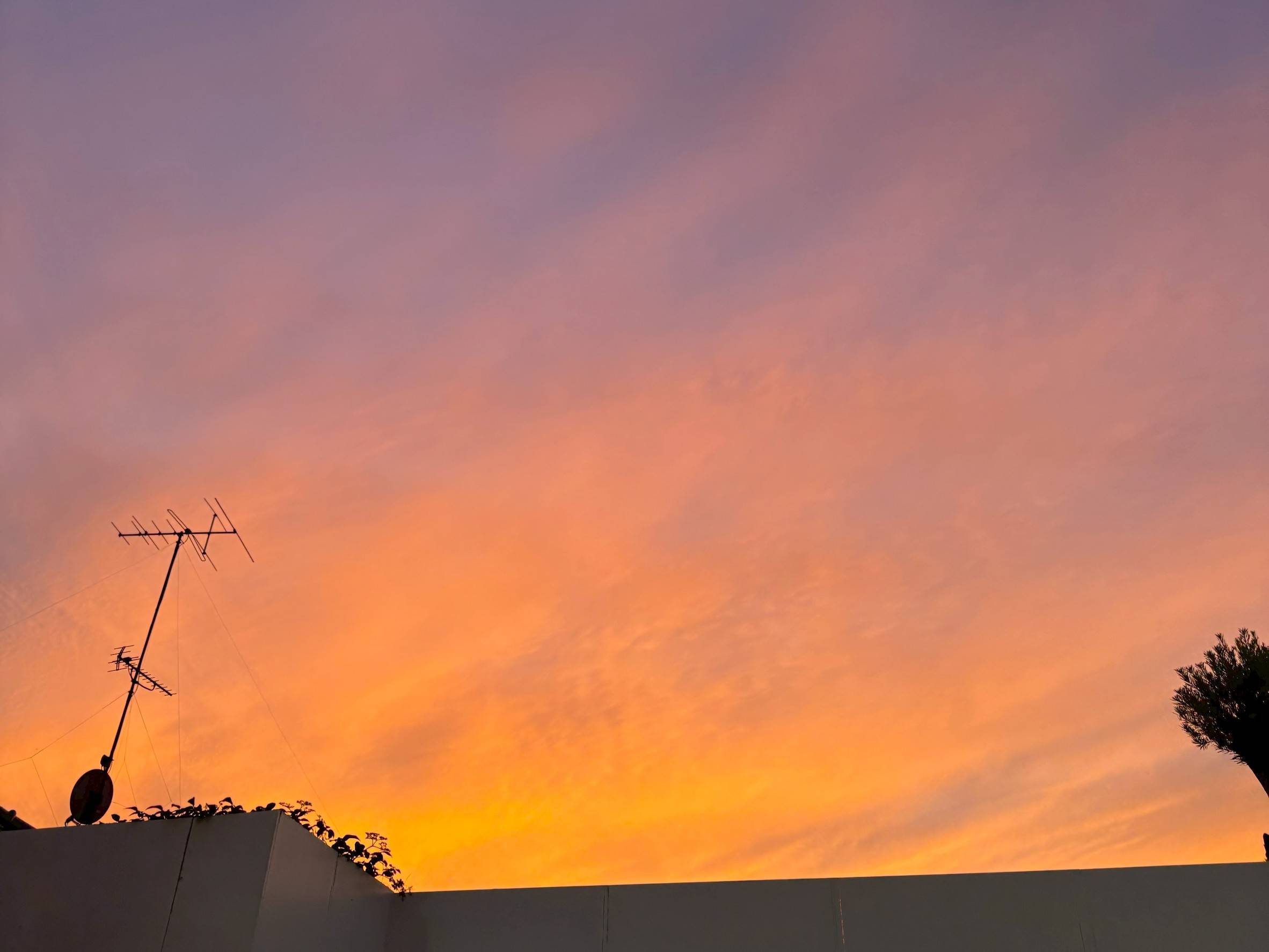 洗車中のひと休み