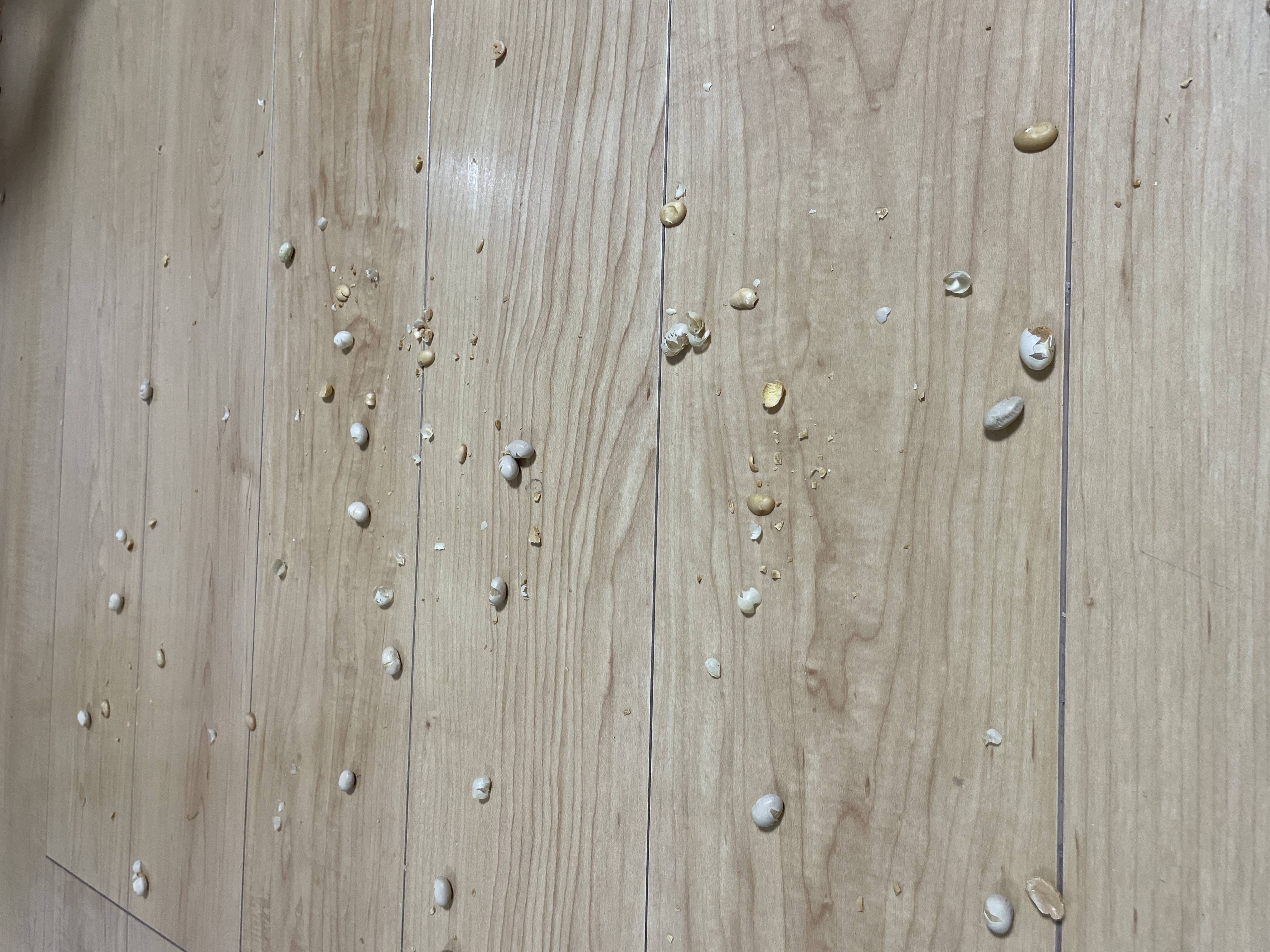 祭りのあと・・・