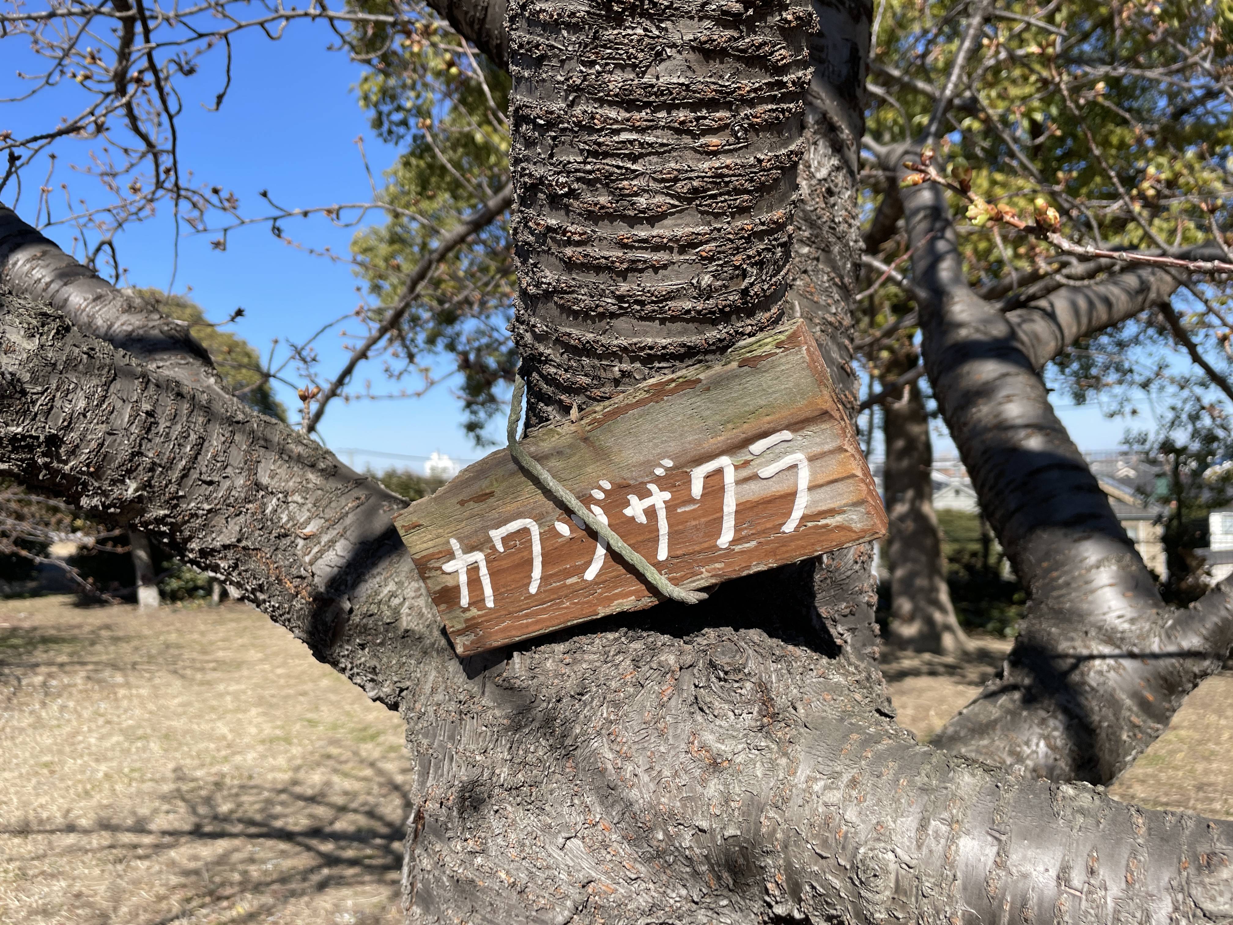 もうすぐですよ！