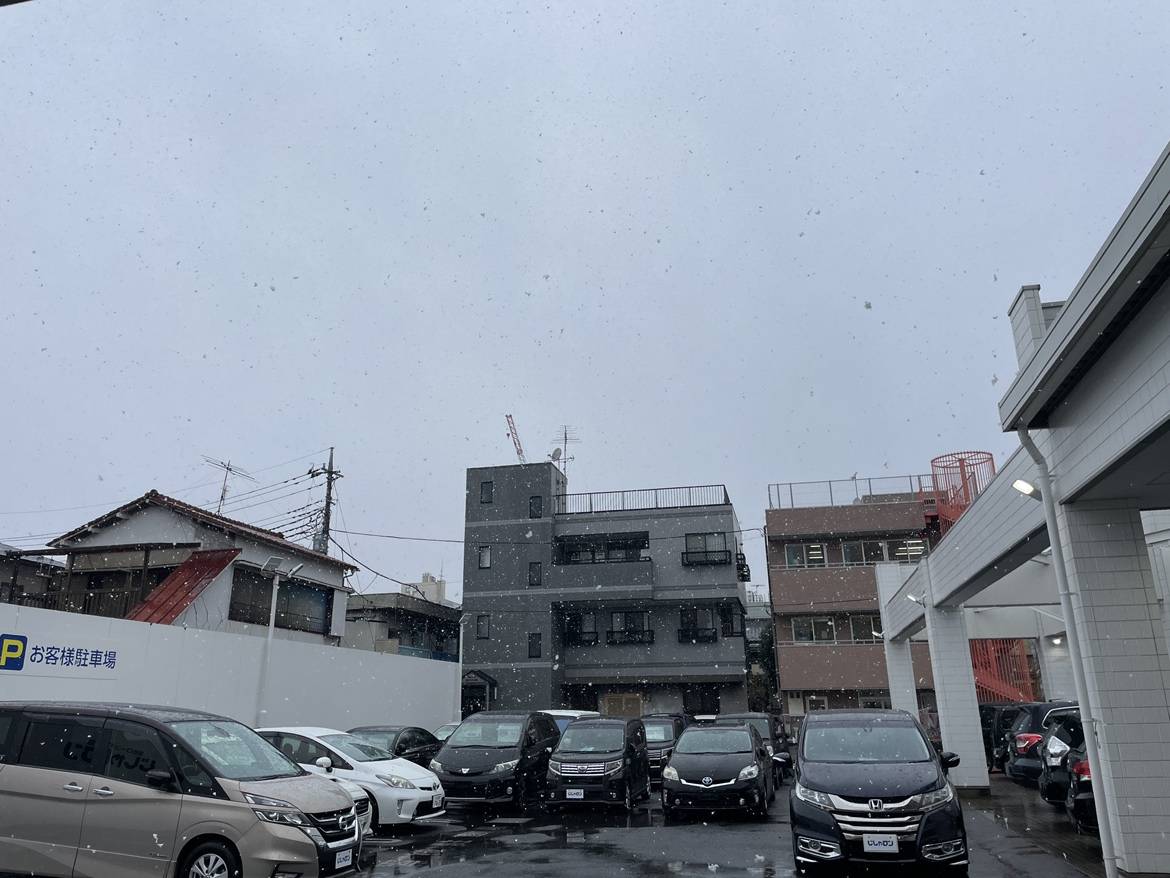 3月の雪！安全運転でお過ごしください