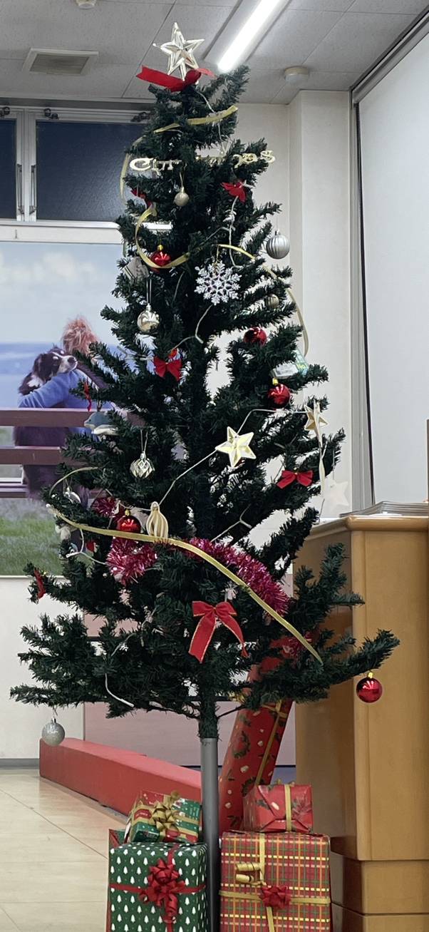 クリスマスツリー用意いたしました！02