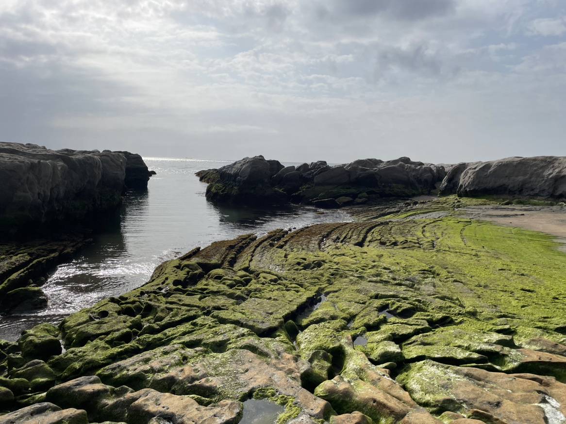 房総半島　再び