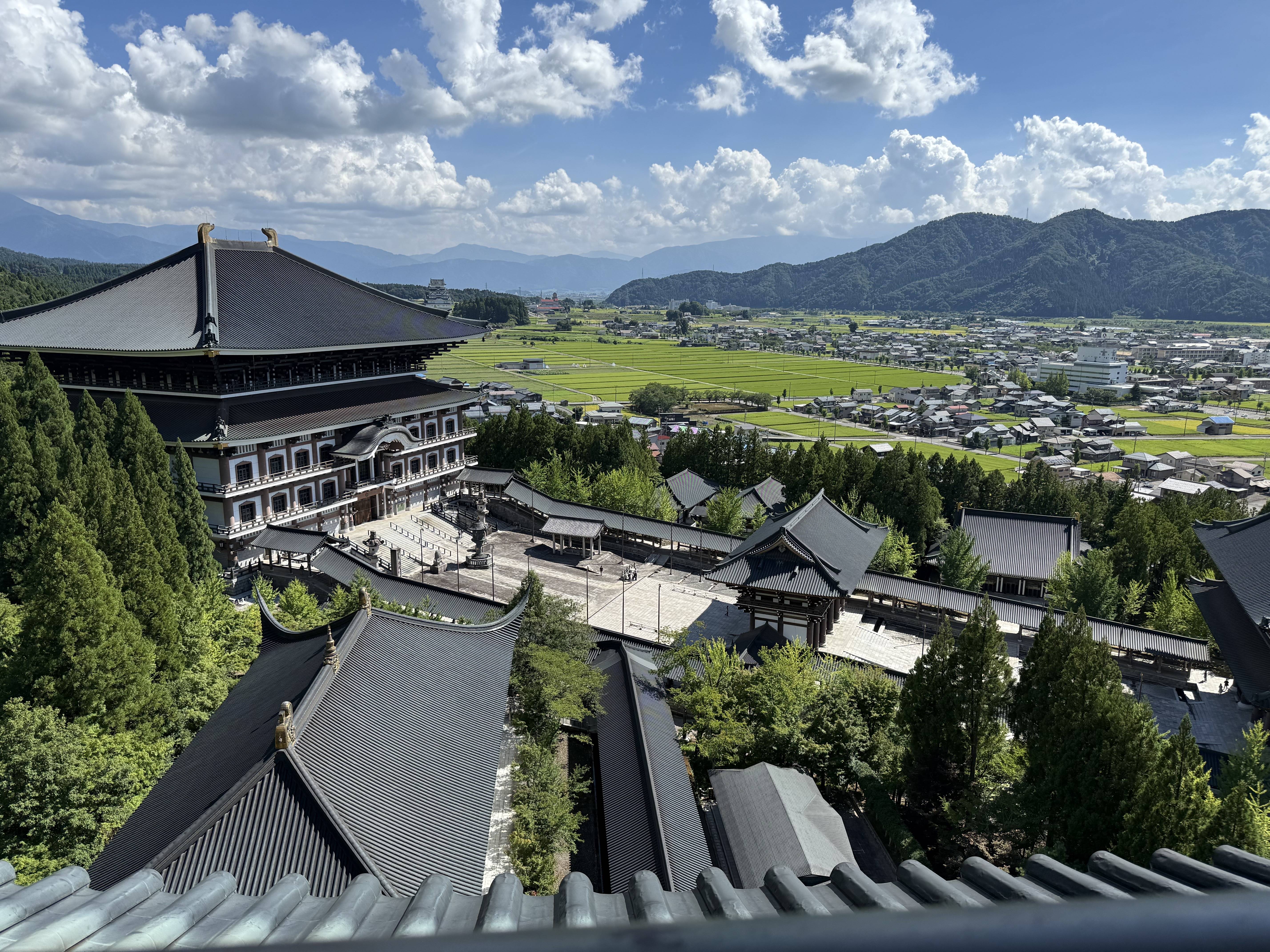 お盆が明け、夏も終わりに近づいてきております