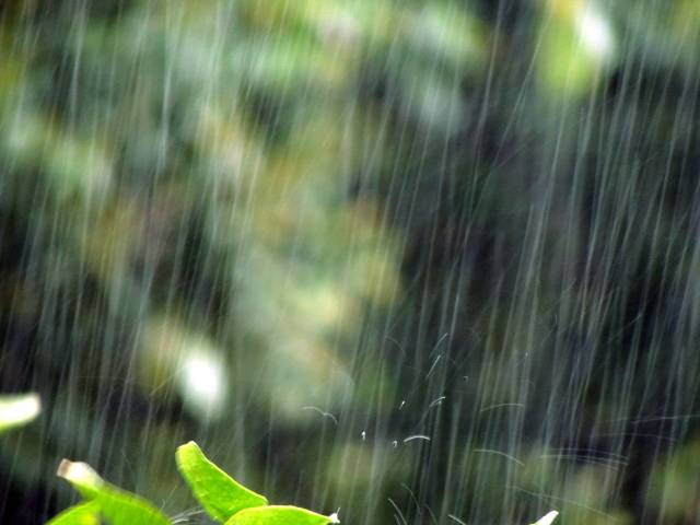 ☆雨の日の運転は危険がいっぱい！安全運転のために知っておきたいポイント☆