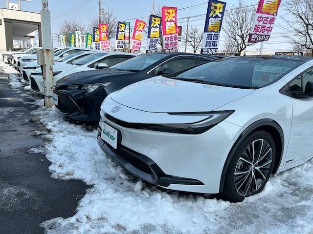 大雪が降っても・・・