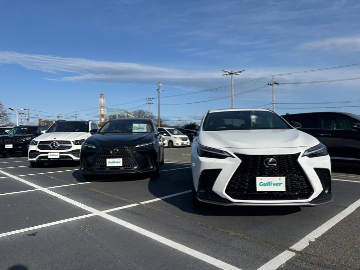 皆様おはようございます！！