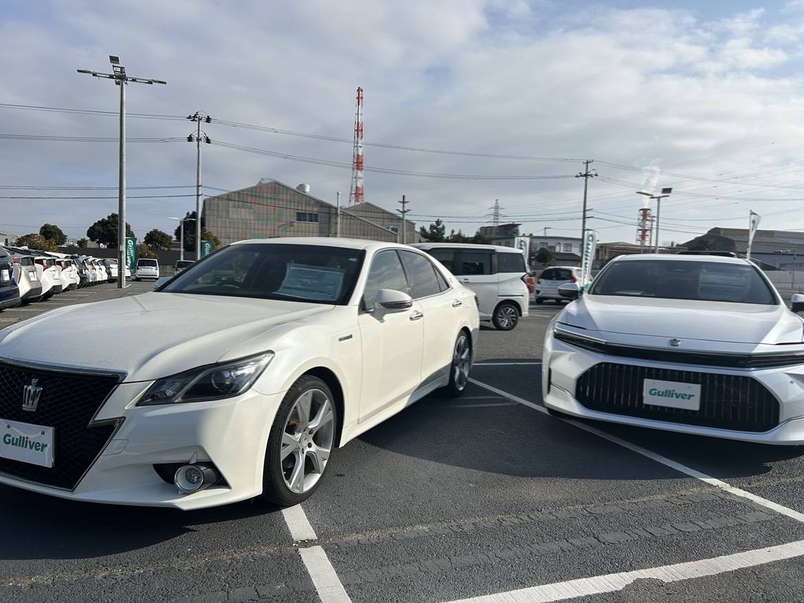 皆様おはようございます！！本日も営業中です！