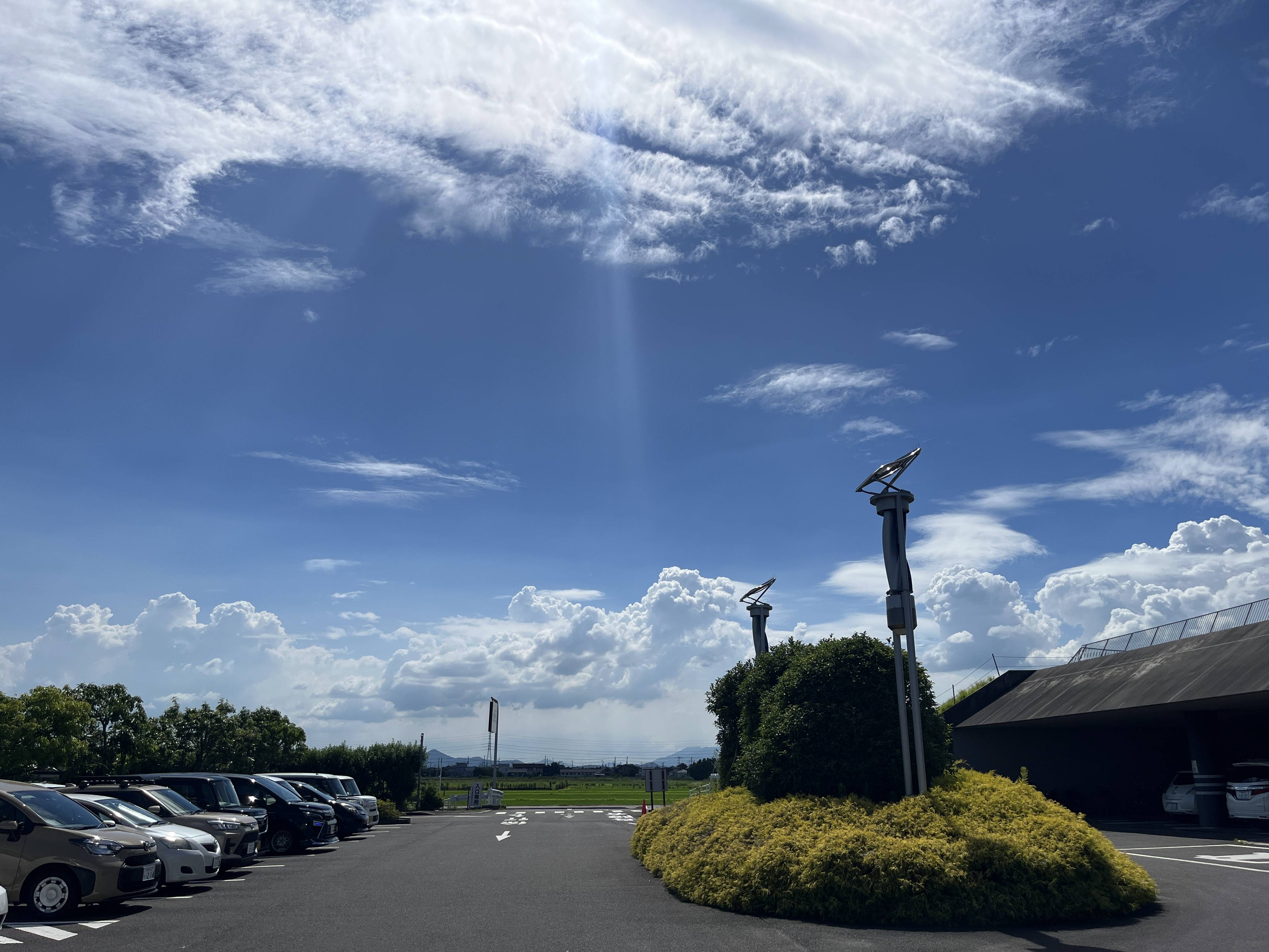 スタッフの一押し写真のご紹介！