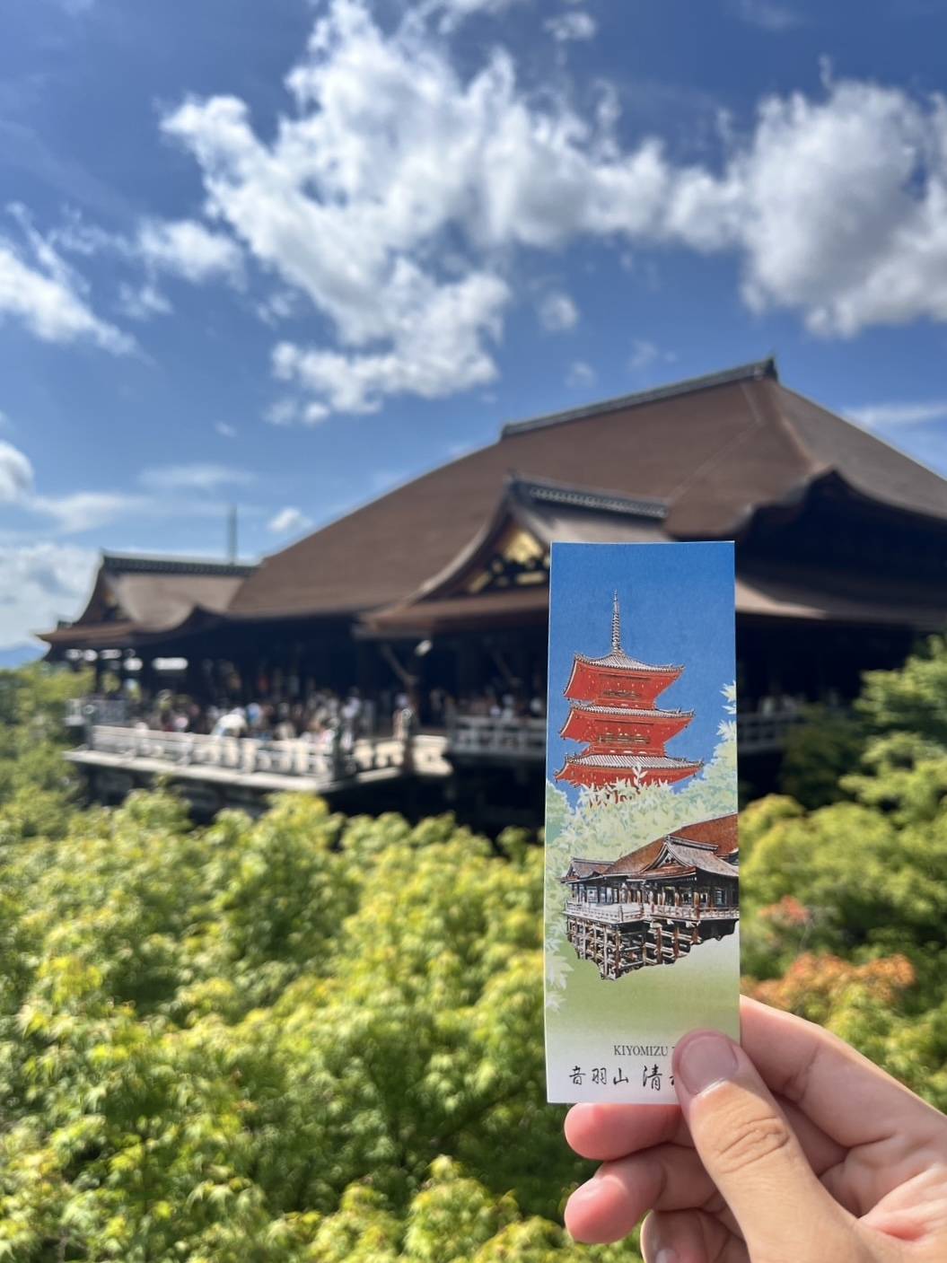 じしゃロンの夏休み！！