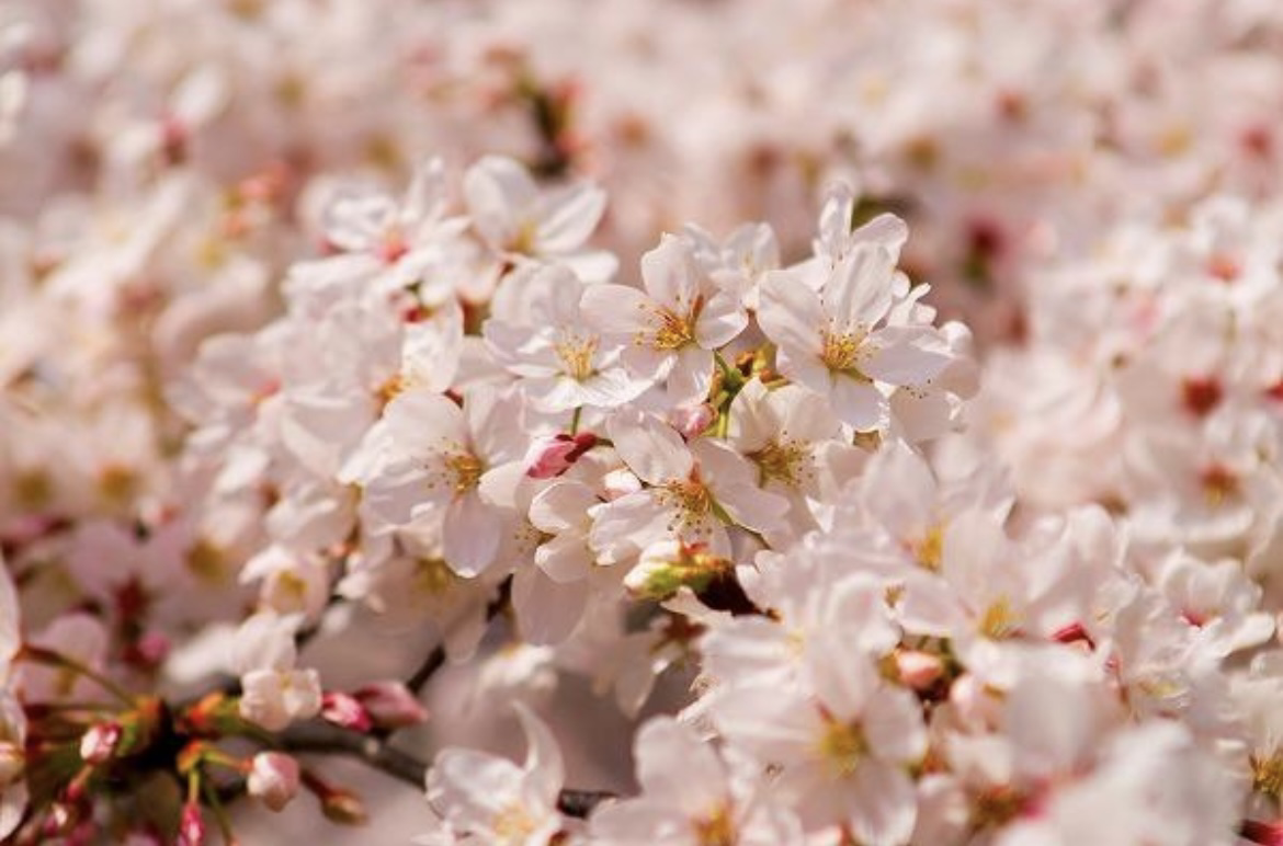 新生活スタート！！