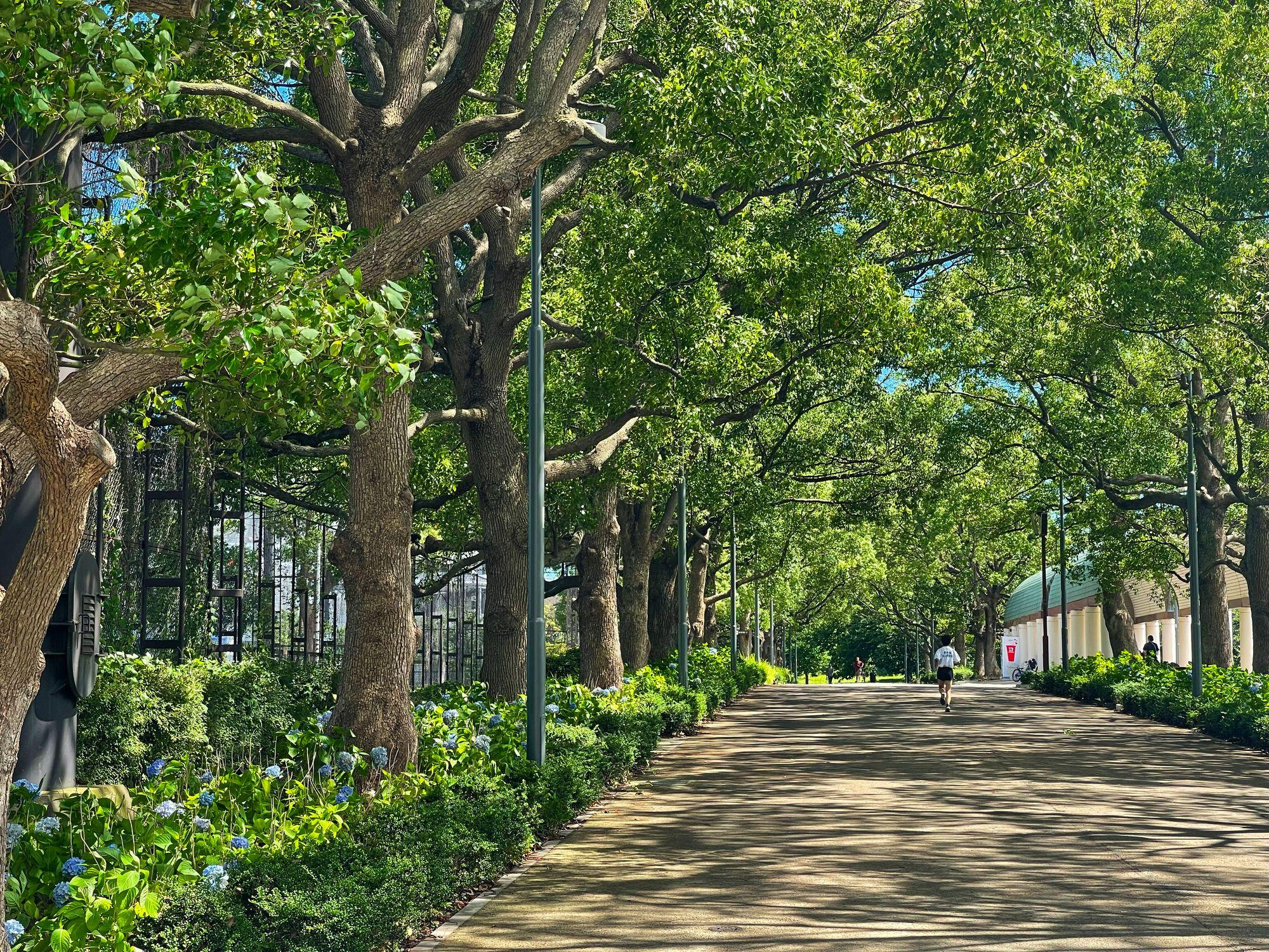 過ごしやすい季節になってきましたね！