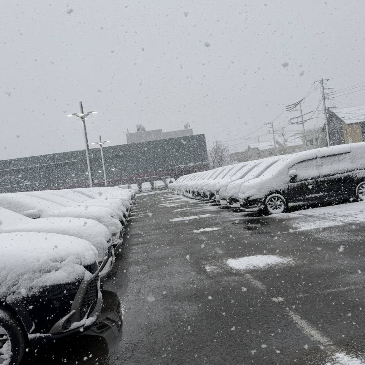 平塚で積雪15㎝！！