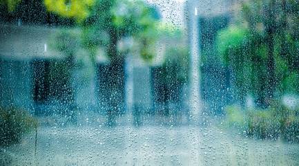 梅雨入り前後に確認したいお車のポイント