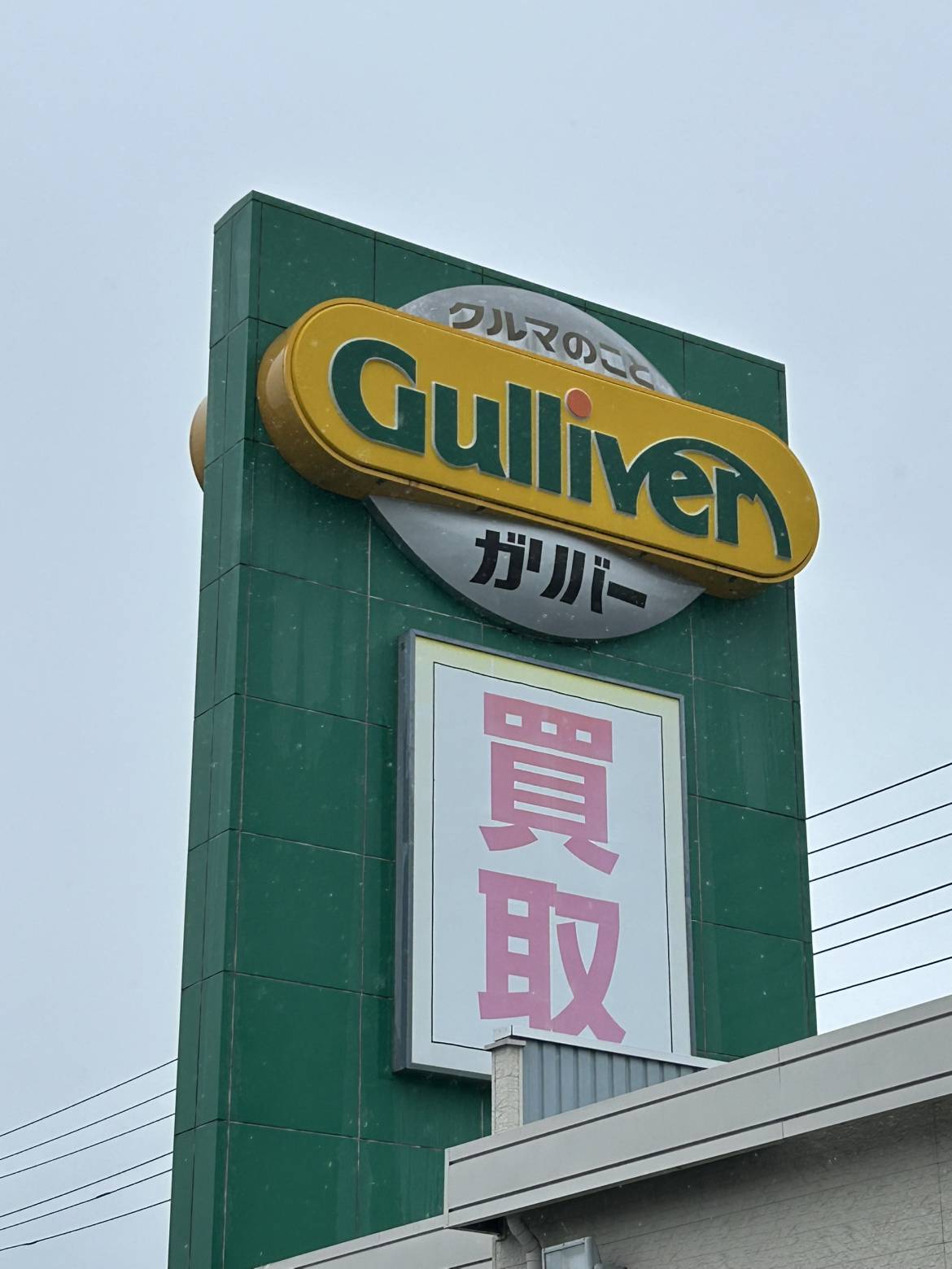 雨