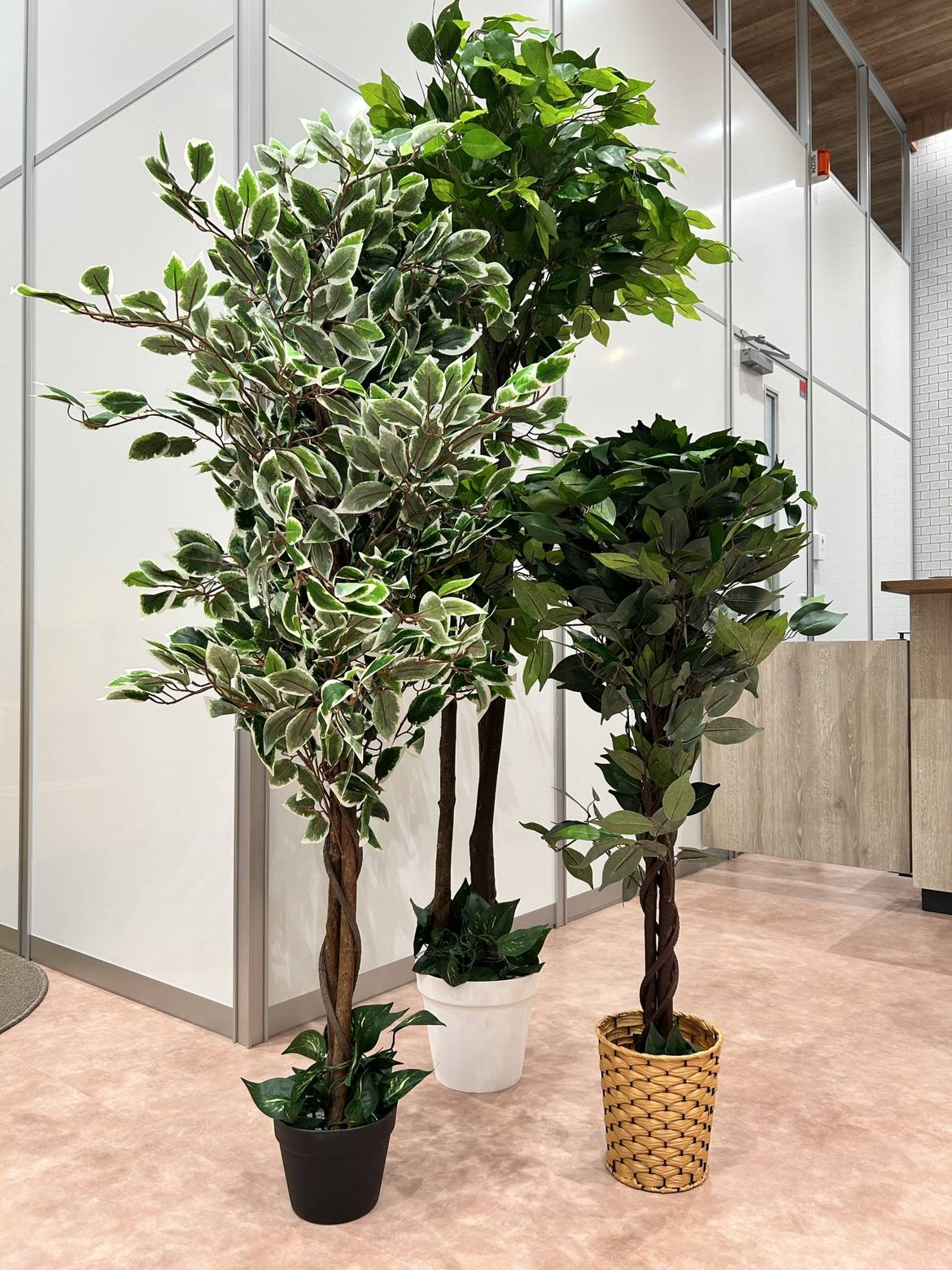 リメイクカーズ水戸内原店に「緑」がやってきました！