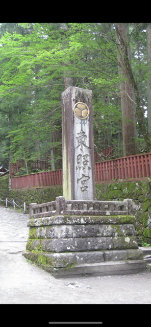 かつおの一人旅