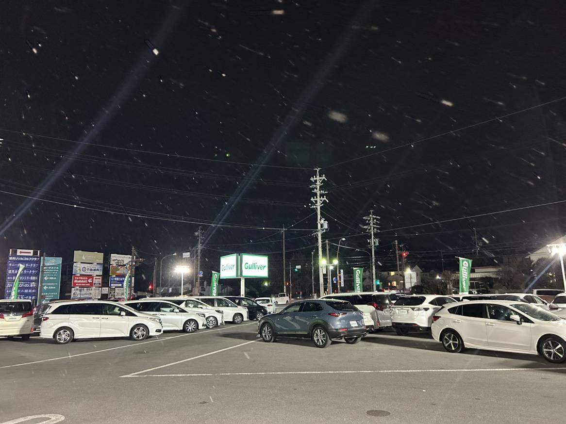 またまた雪です！