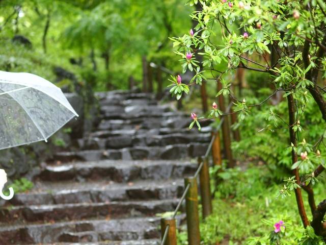 雨多い、、
