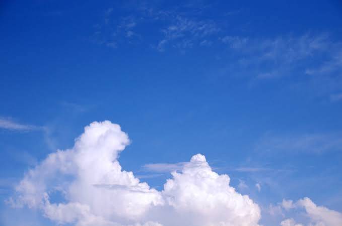 今年の夏の予定