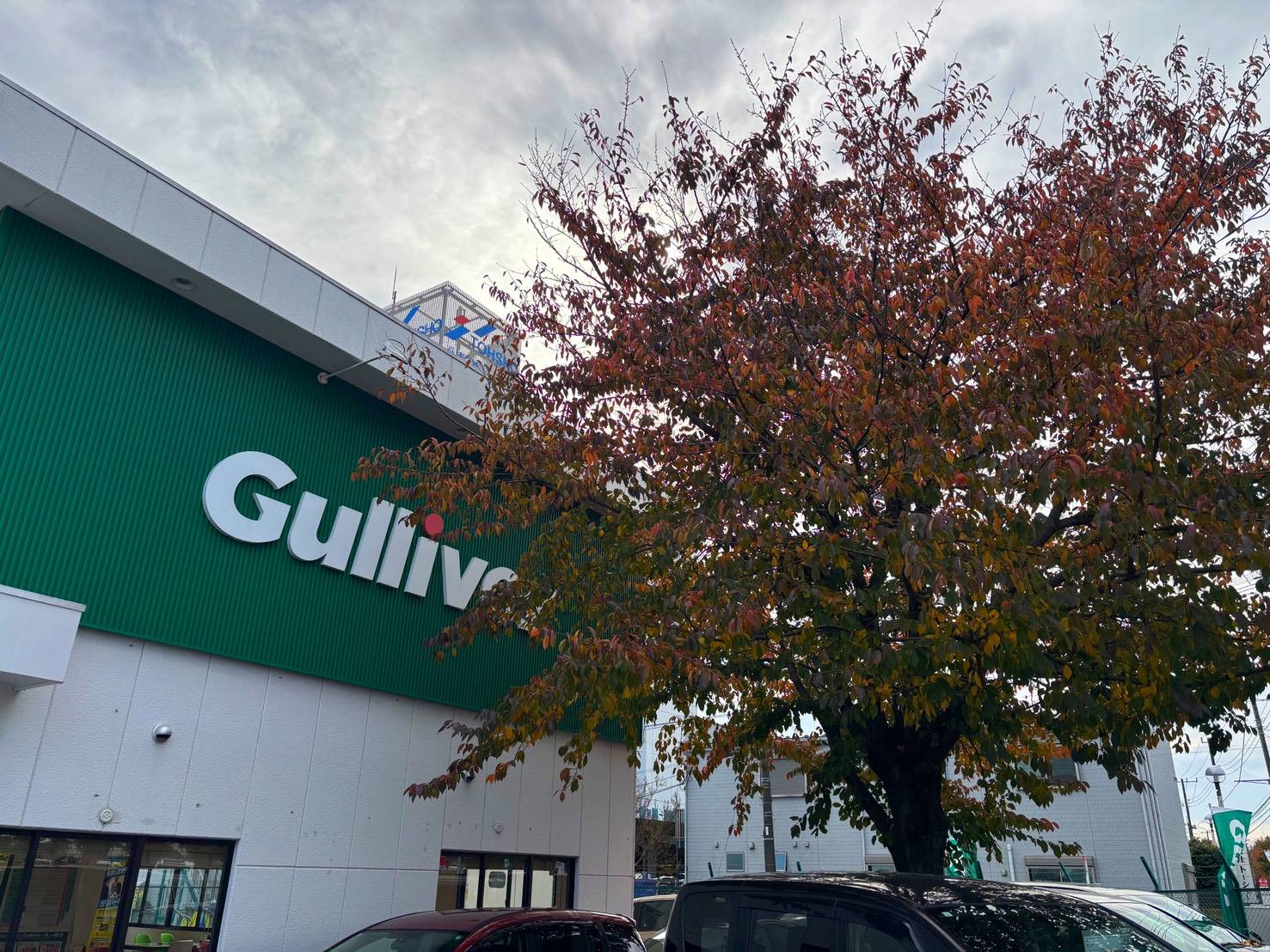 ジョイフル本田瑞穂店 さん 前のまちのクルマ屋