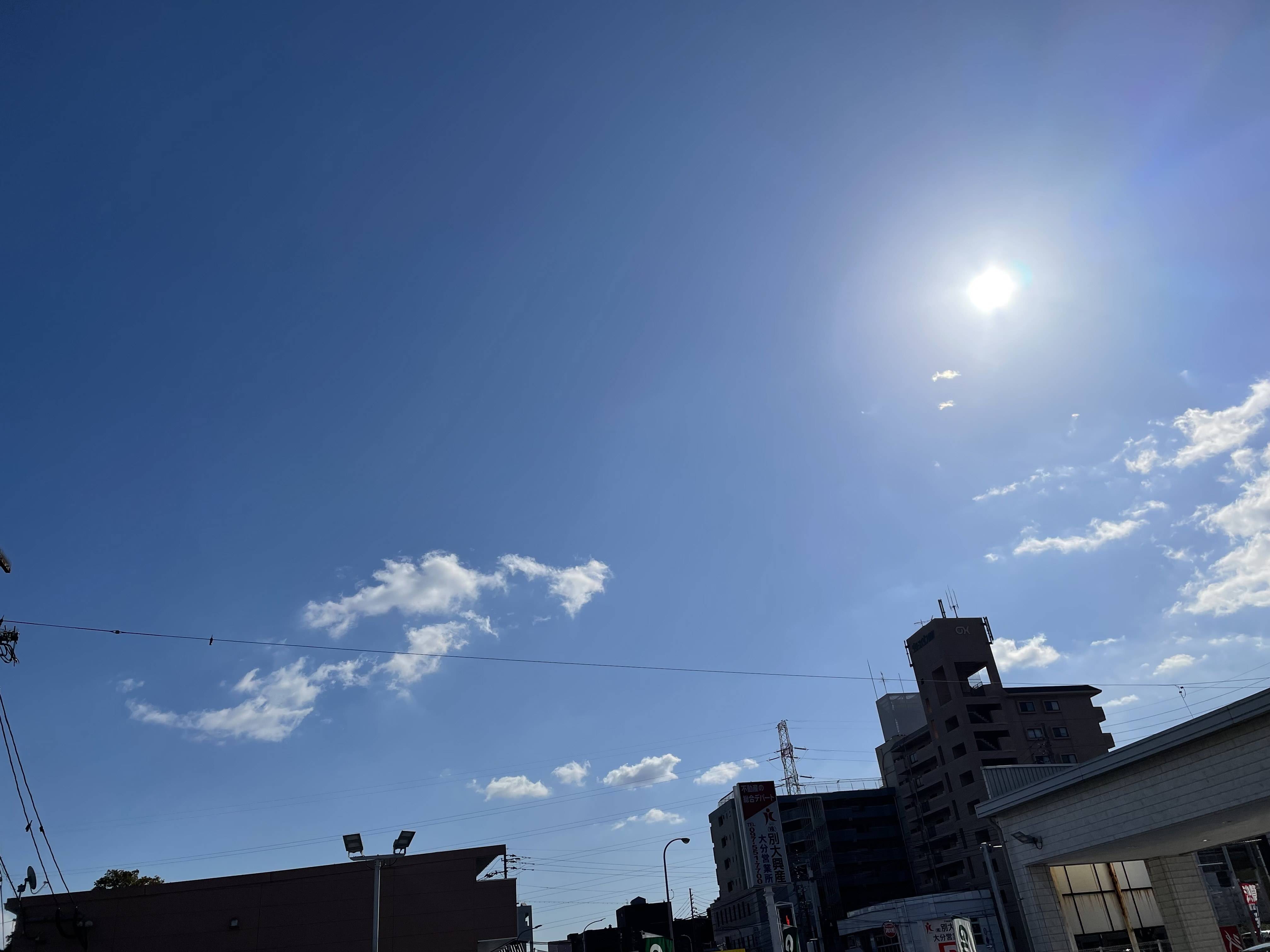 タイムレスプロジェクト