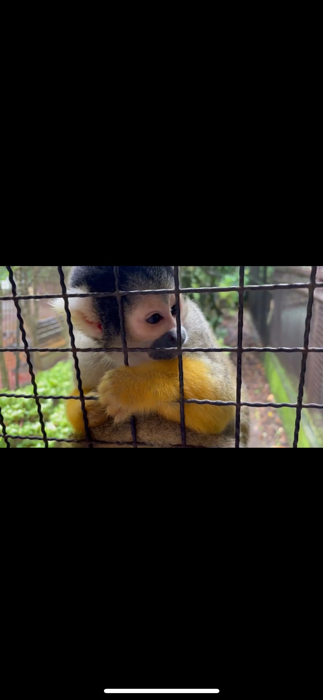 アフリカンサファリ02