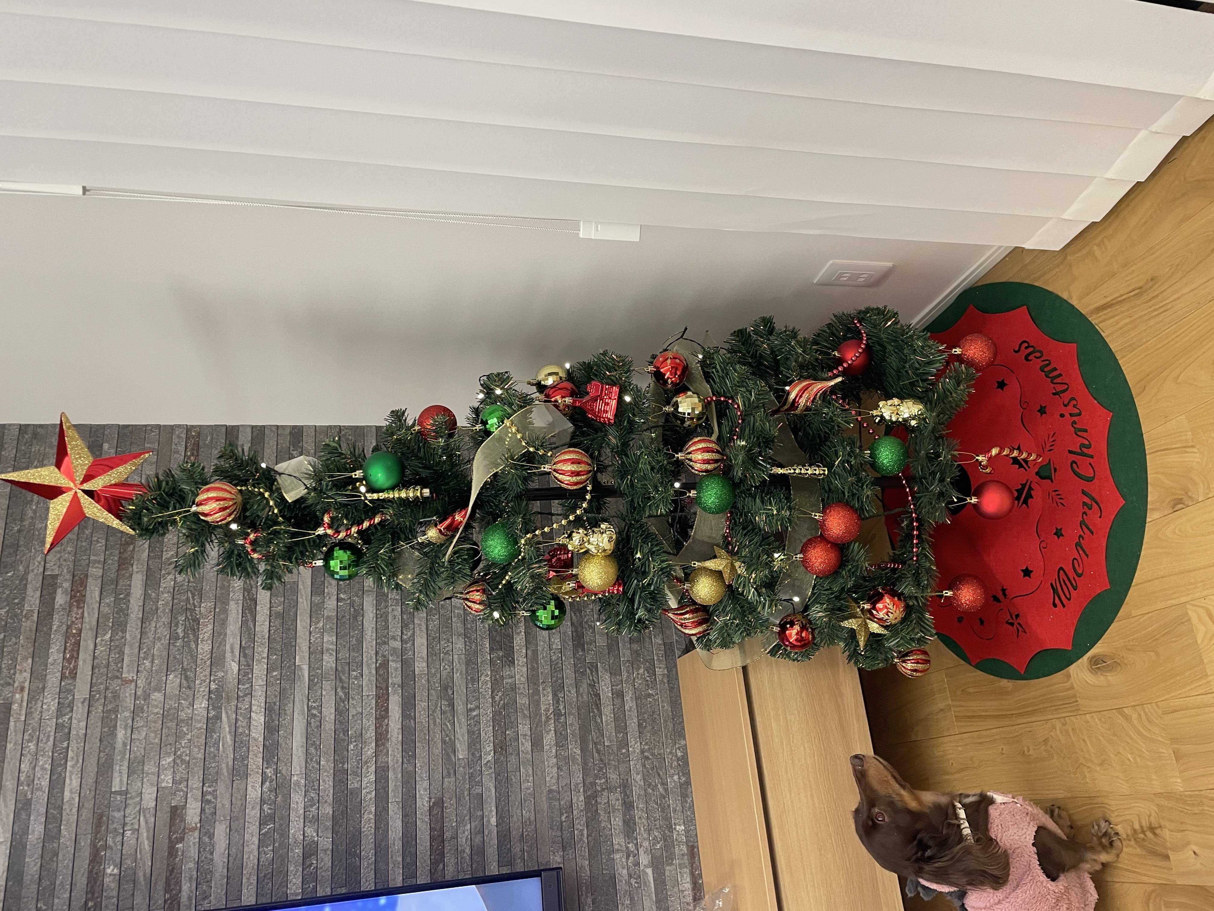 我が家もクリスマスツリー01