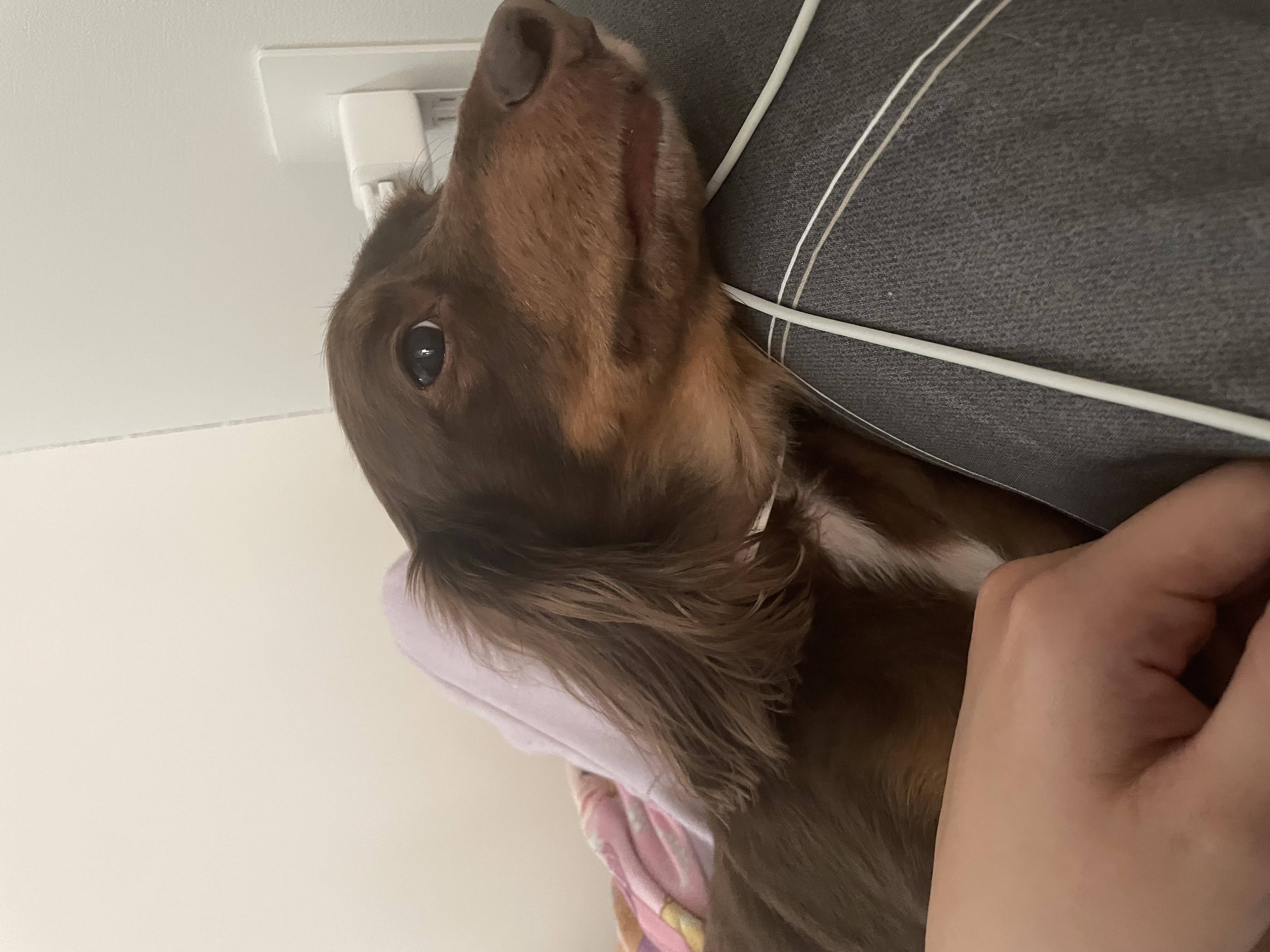 あけましておめでとうございます!!