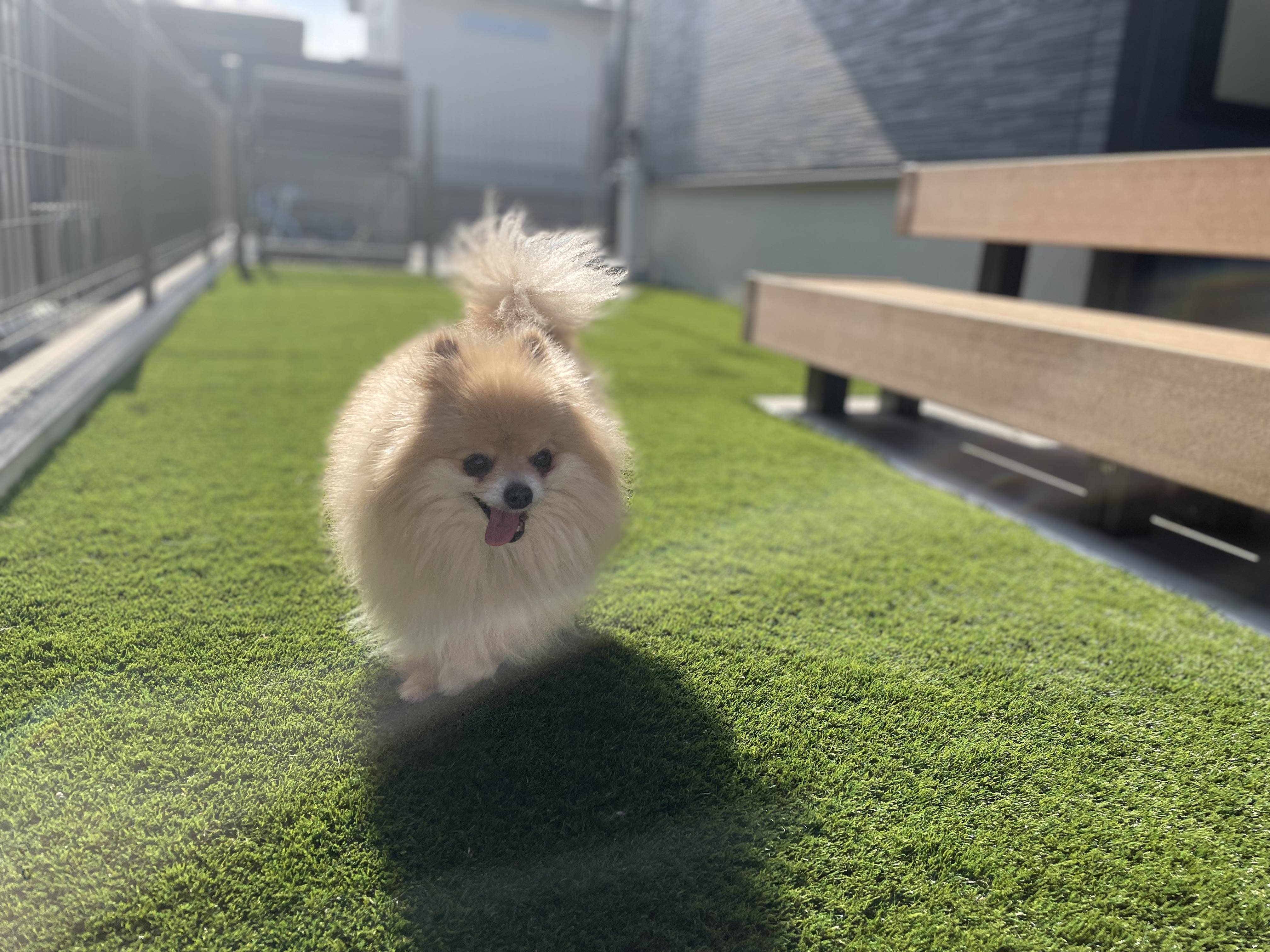 お庭大好き