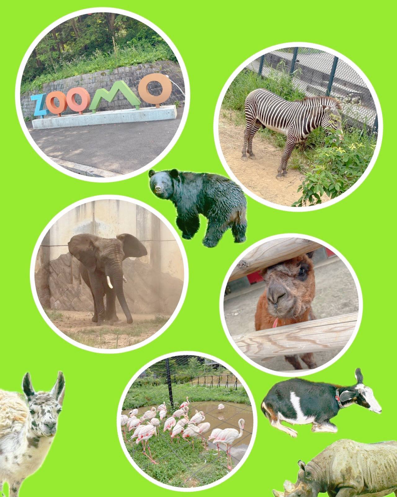 動物たちに癒された日♪