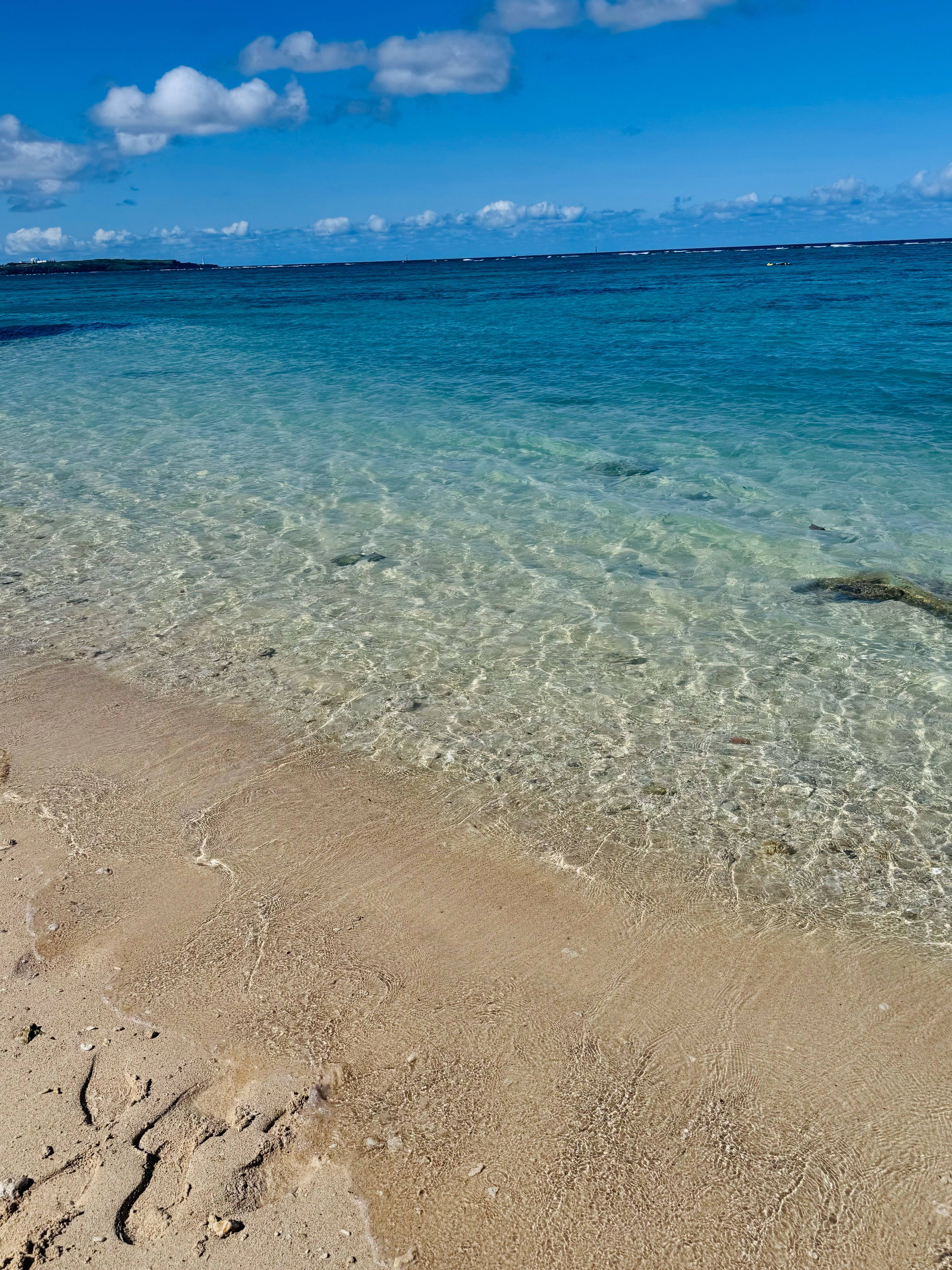 先日のお休みに01