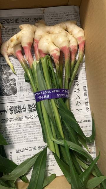 夏季休業期間のお知らせ
