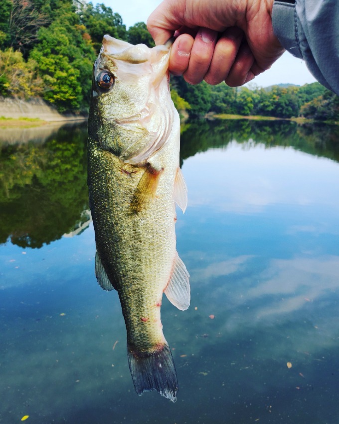 毎度のごとく釣りに行ってきました！！！