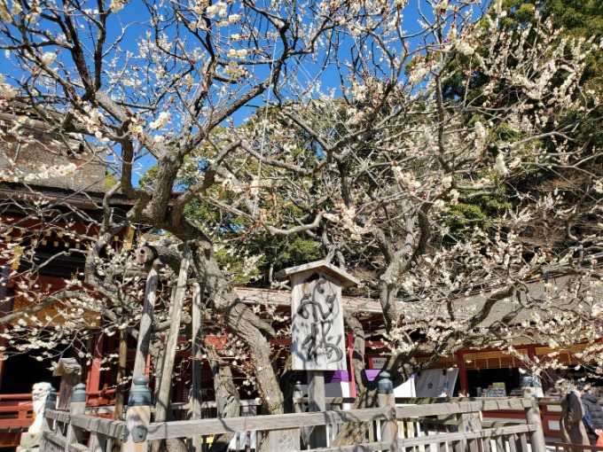 先日のお参りの続きです!