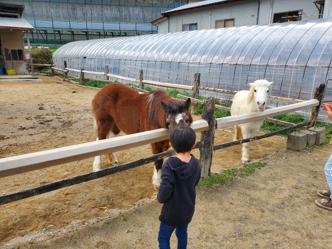 だいぶ温かくなってまいりました!