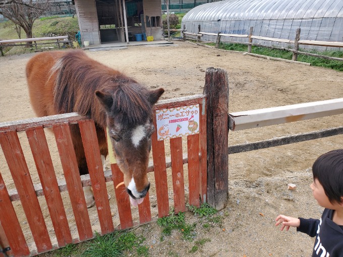 触れあってきました！