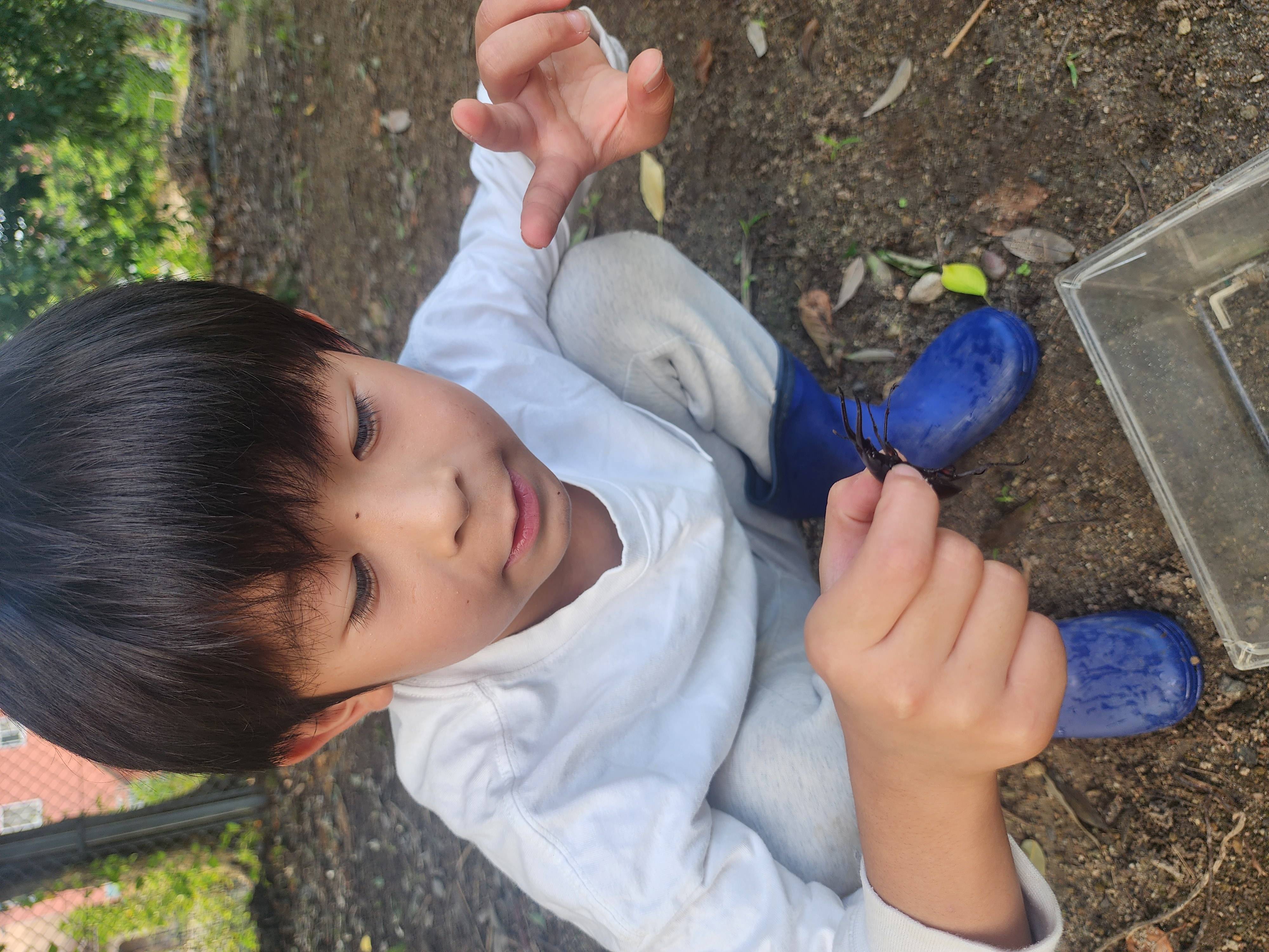 早朝から昆虫採取に行って来ました！01