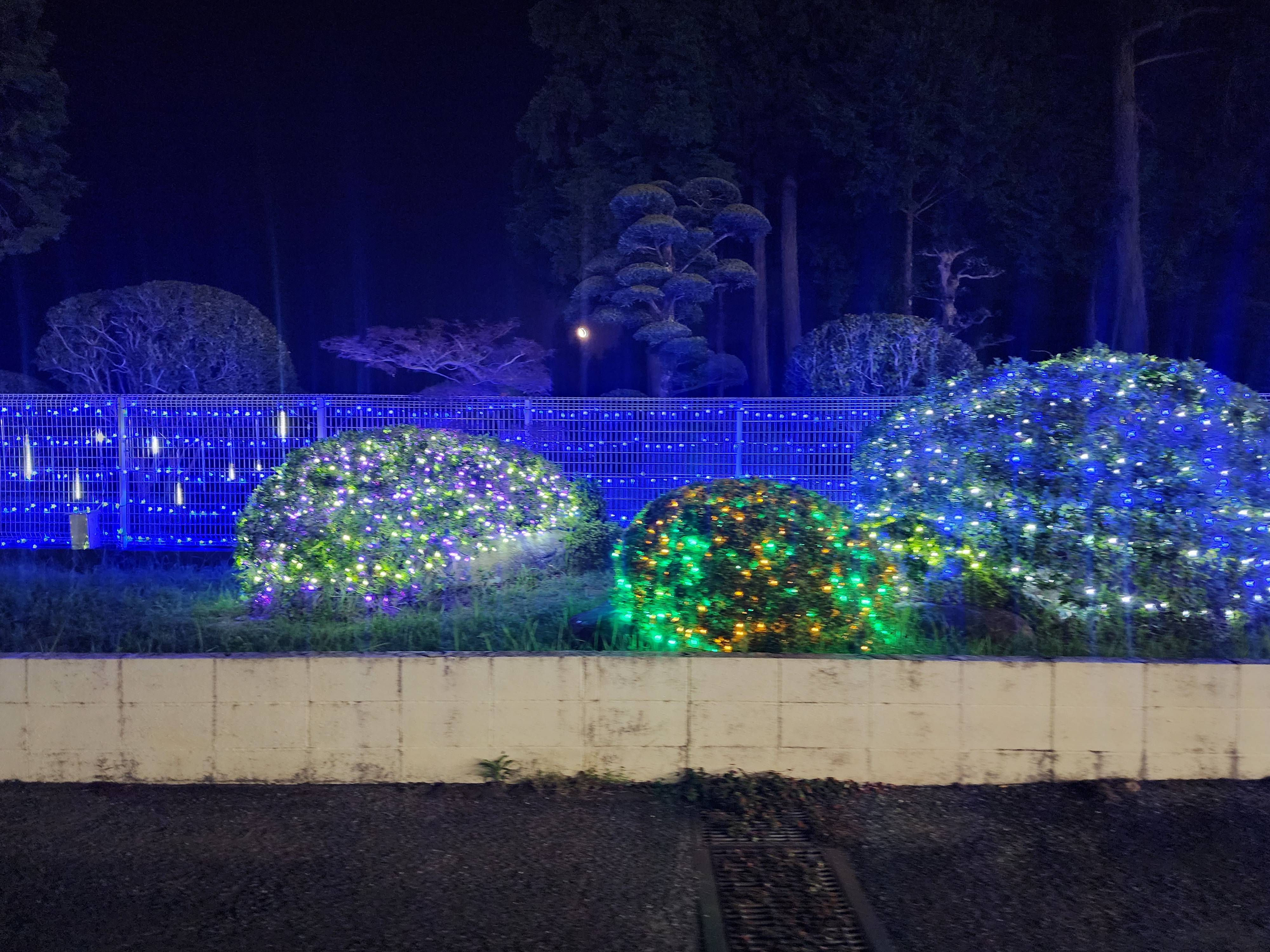 イルミの季節となりました!