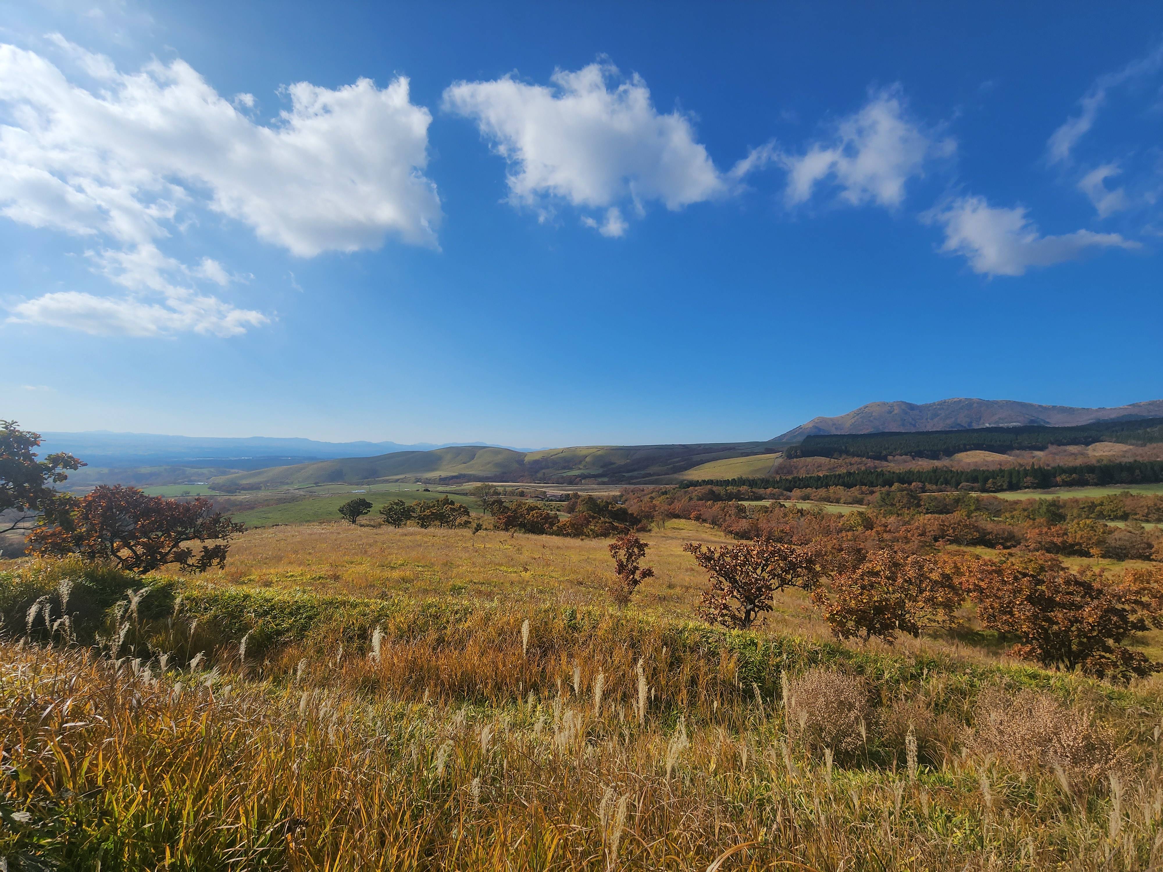 爽快でした！！！！