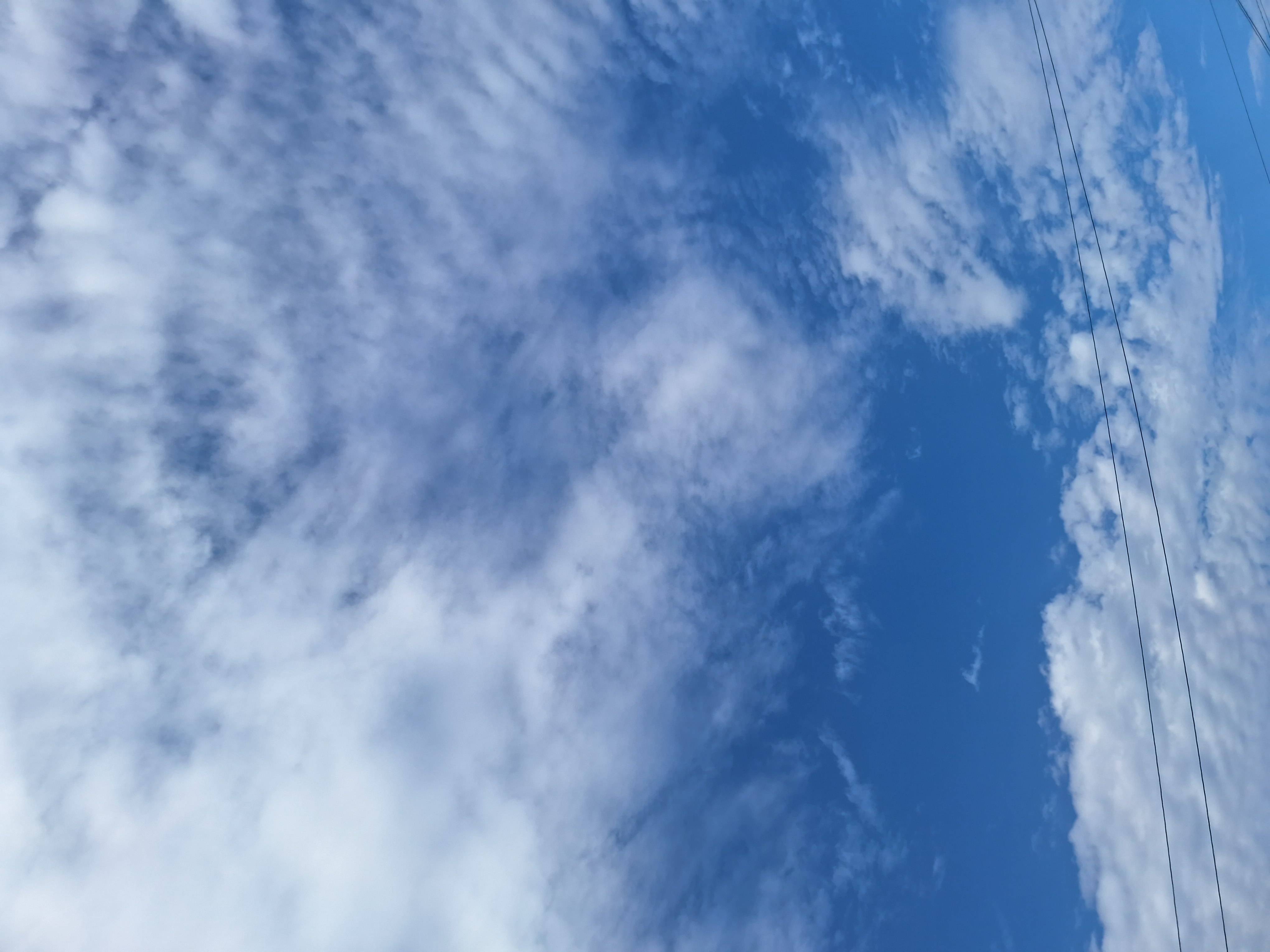 ライブへ行きました