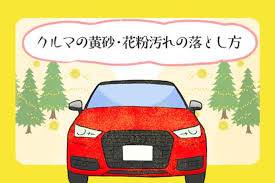 花粉の時期が来ました！　花粉対策はされていますでしょうか！？