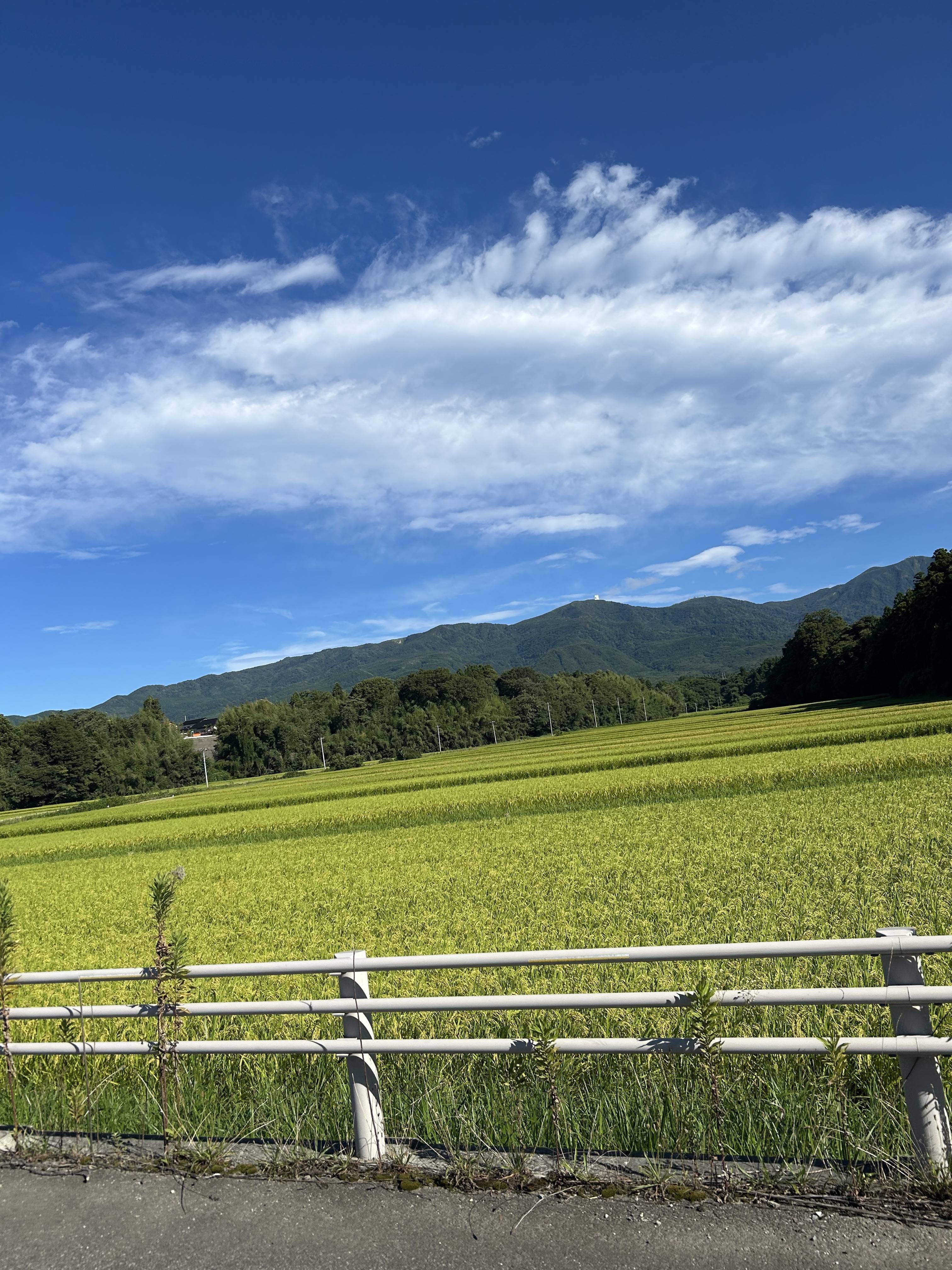 新潟県に帰省して来ました〜！！