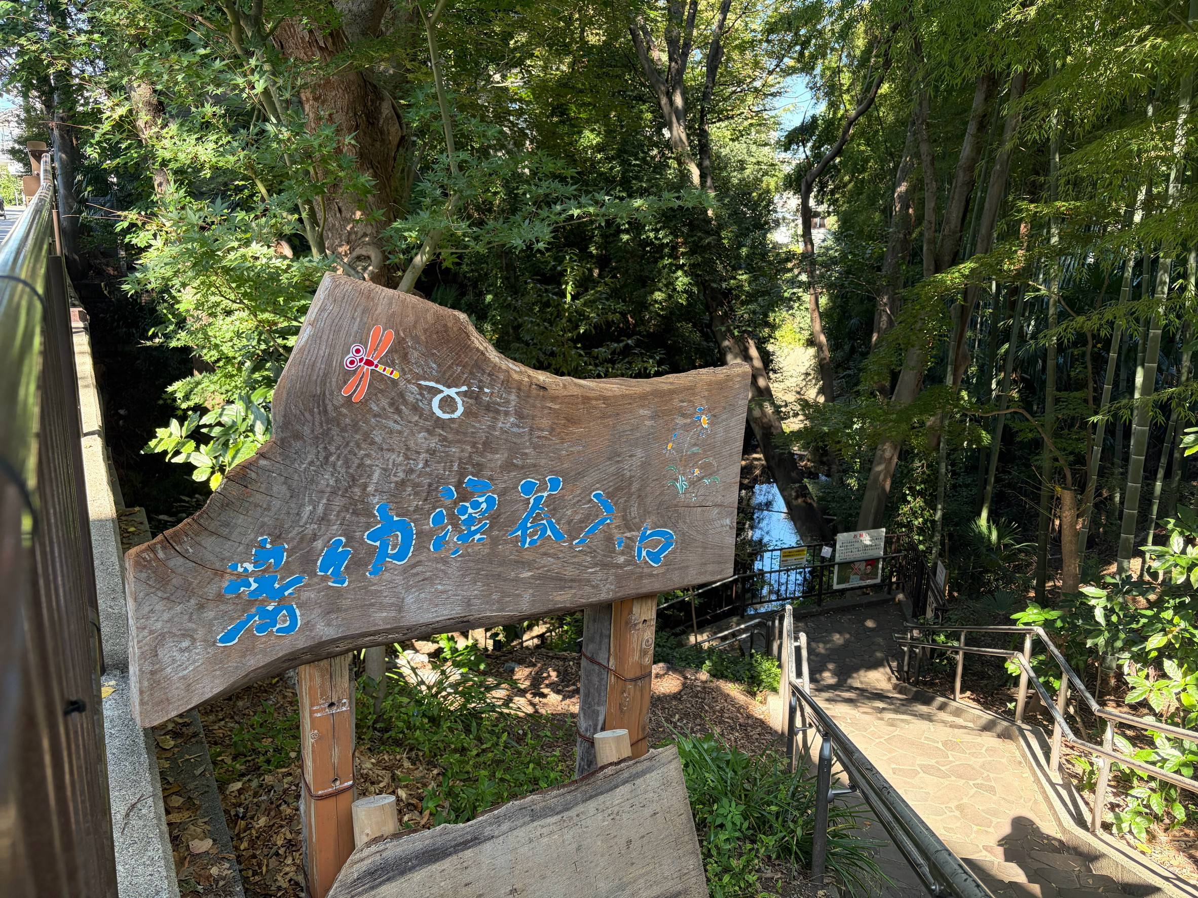 東京唯一の渓谷にいってきました
