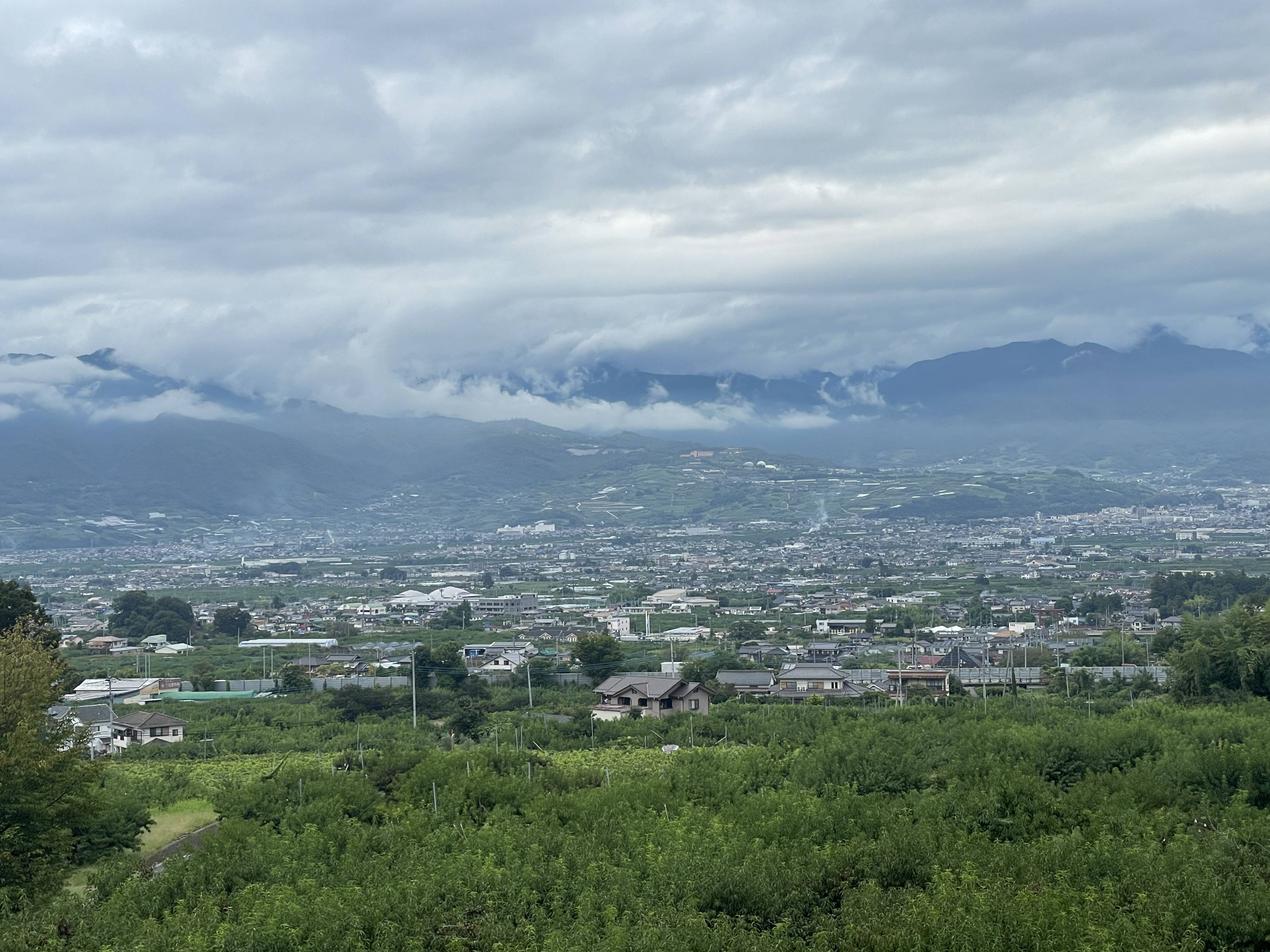 今年もフルーツの時期がやってきました！
