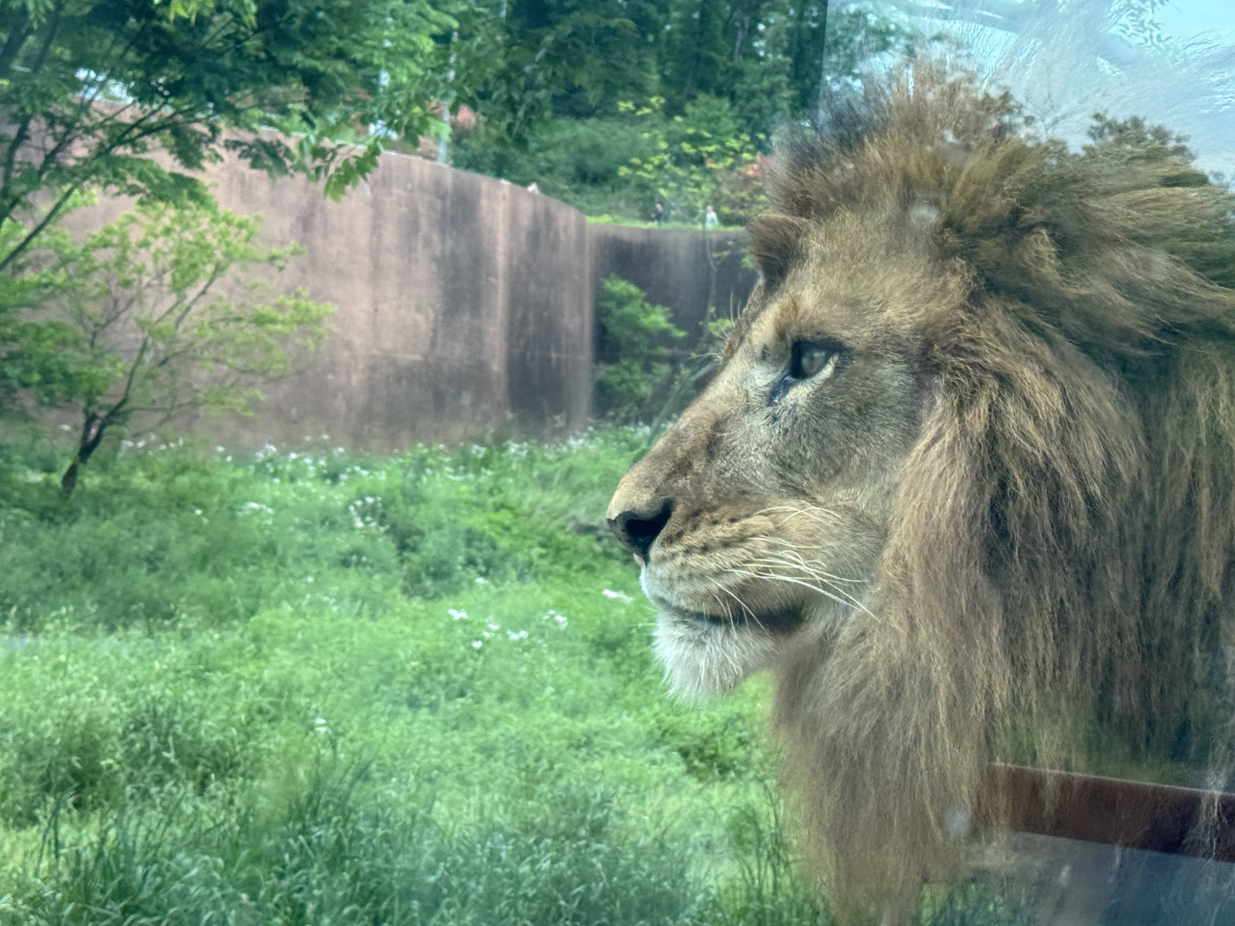 多摩動物園に行ってきました♪