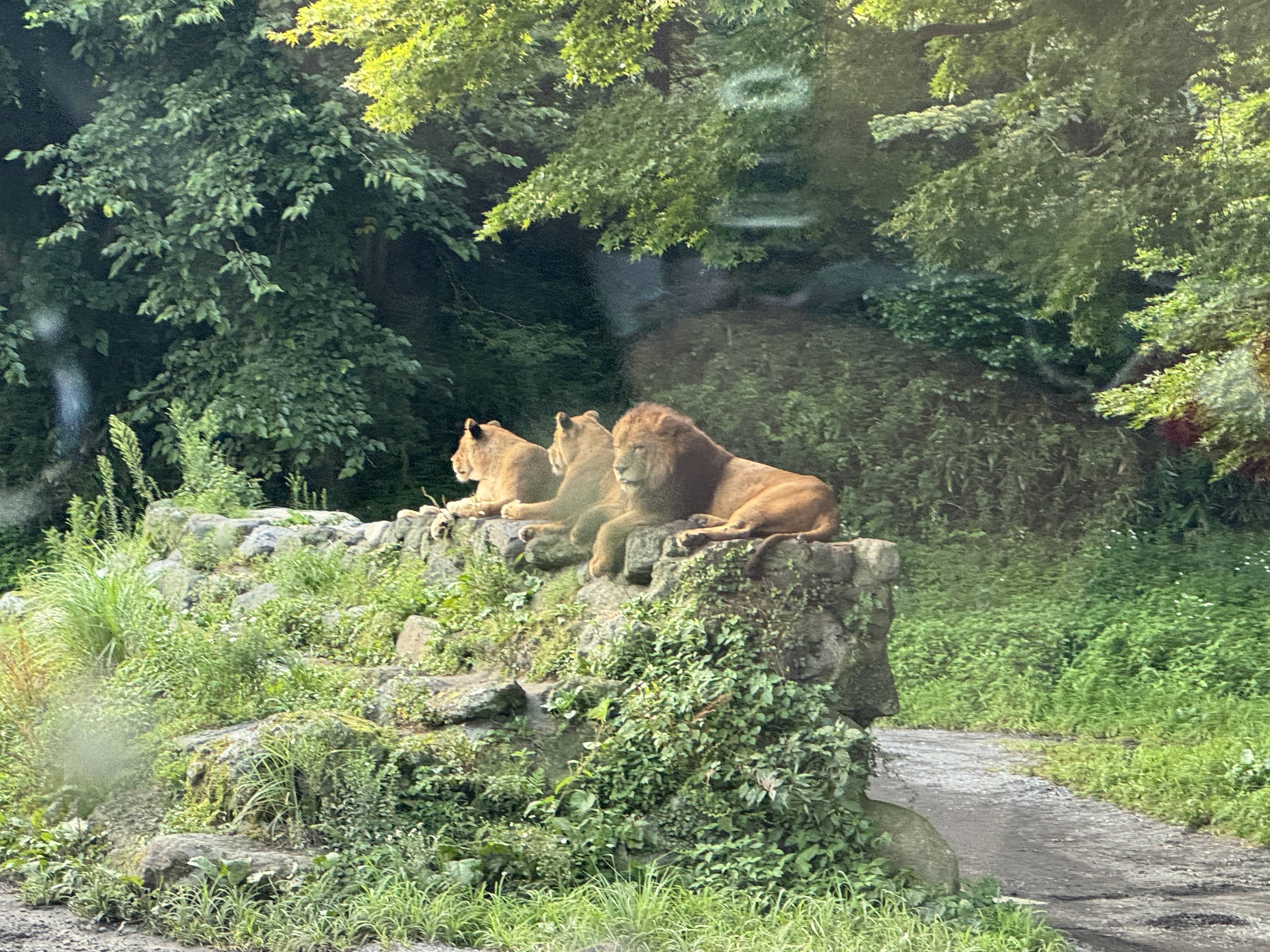 夏の思い出♪
